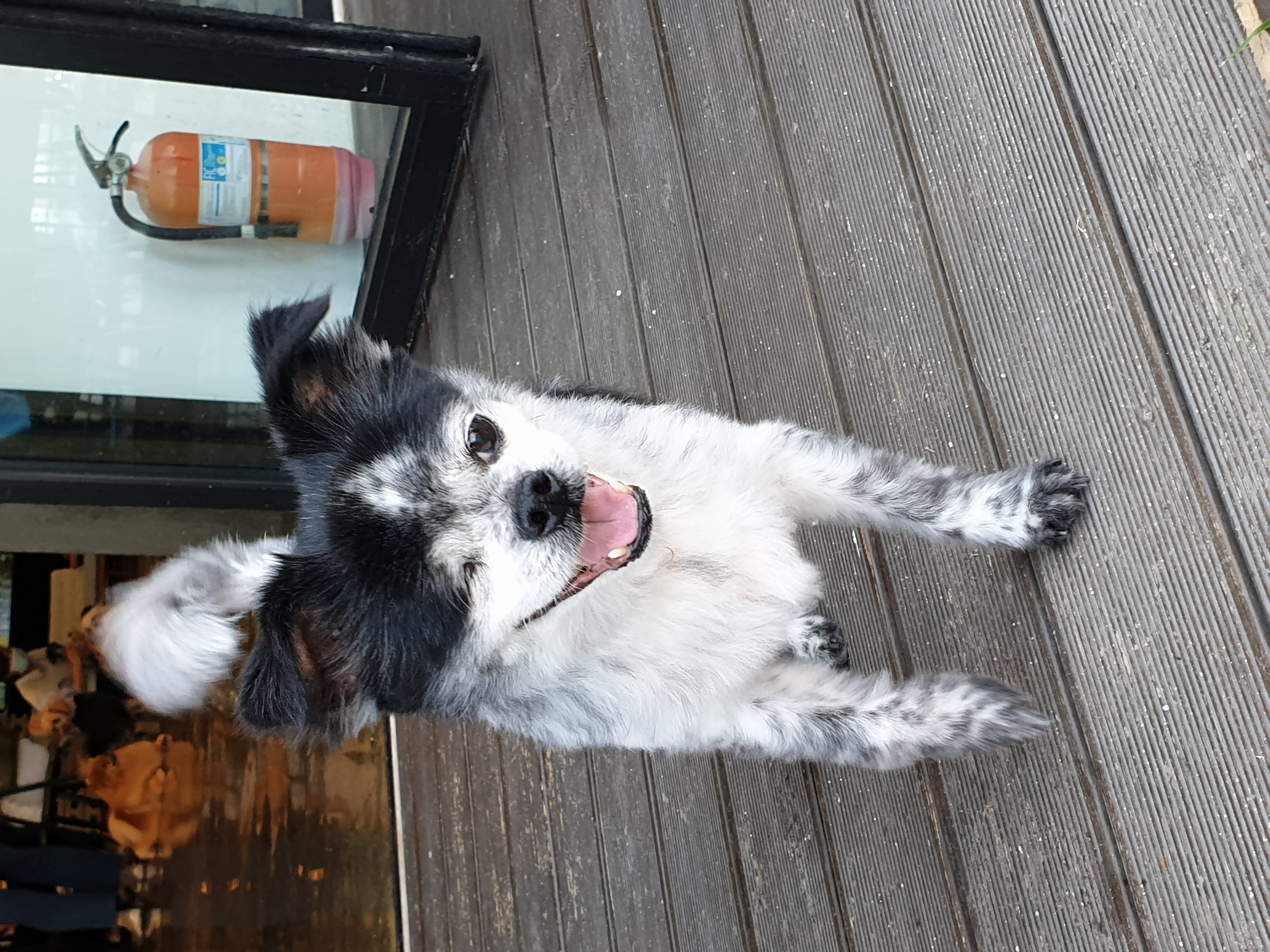 순남씨 입양 2주년