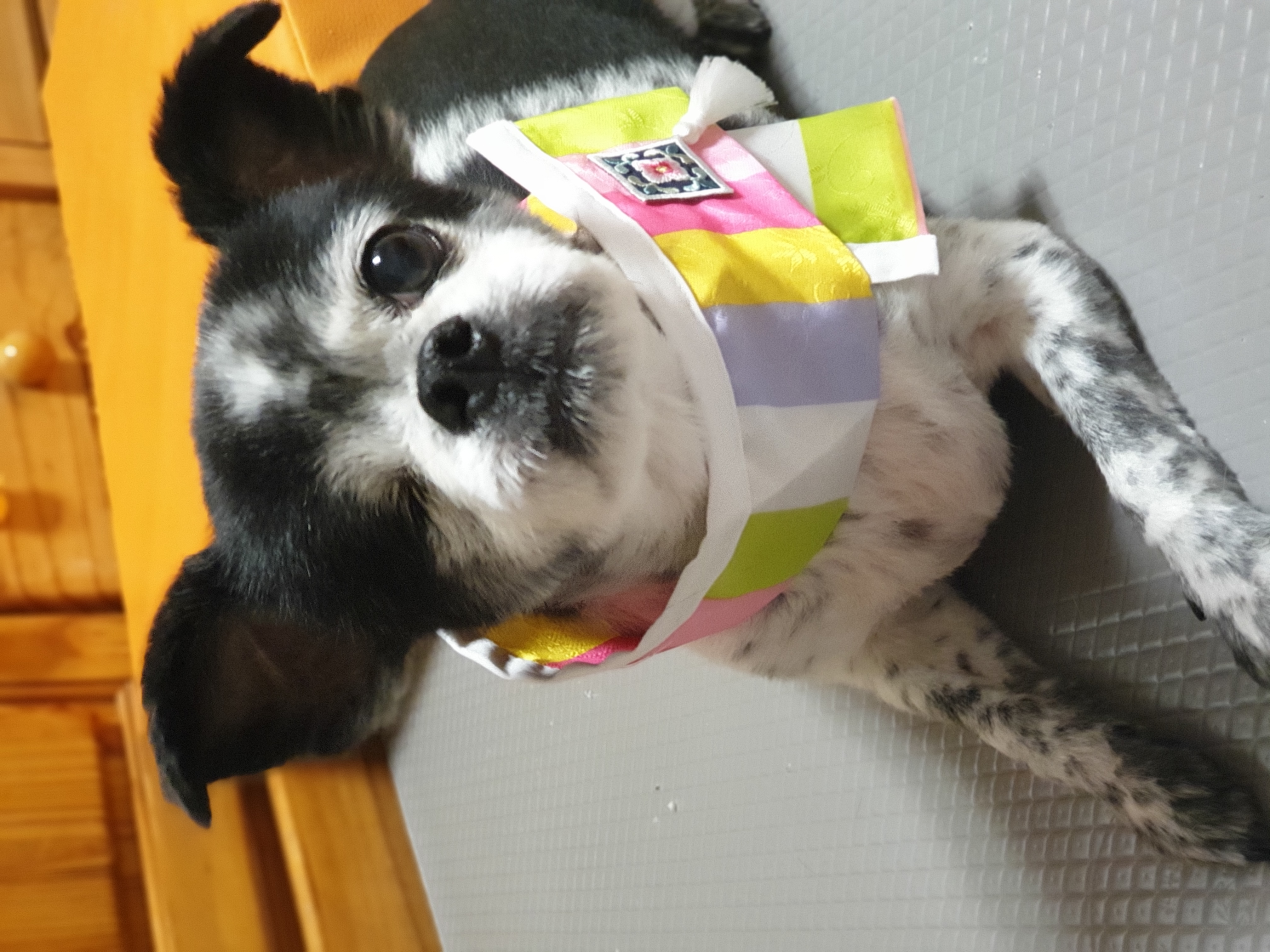 순남씨 입양 2주년