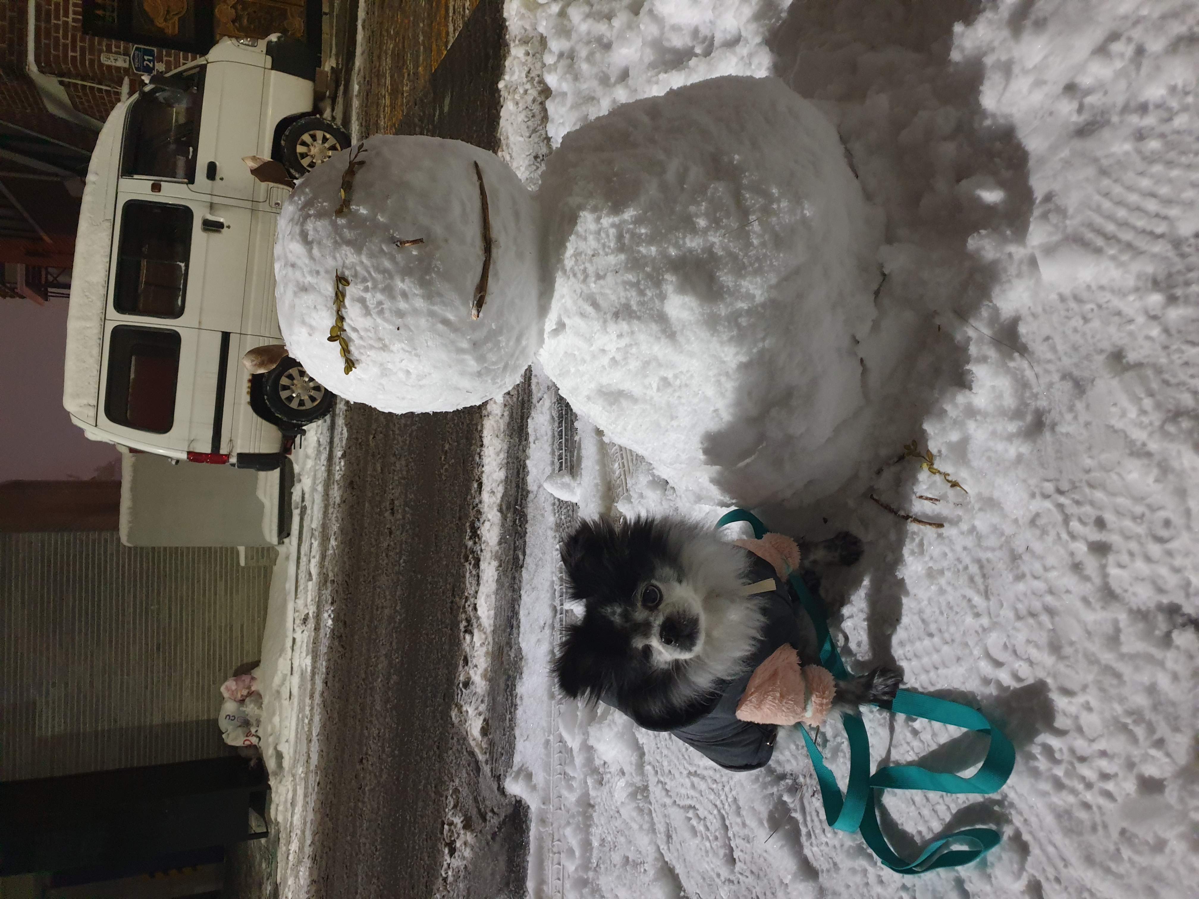 순남이 추가사진 올려요