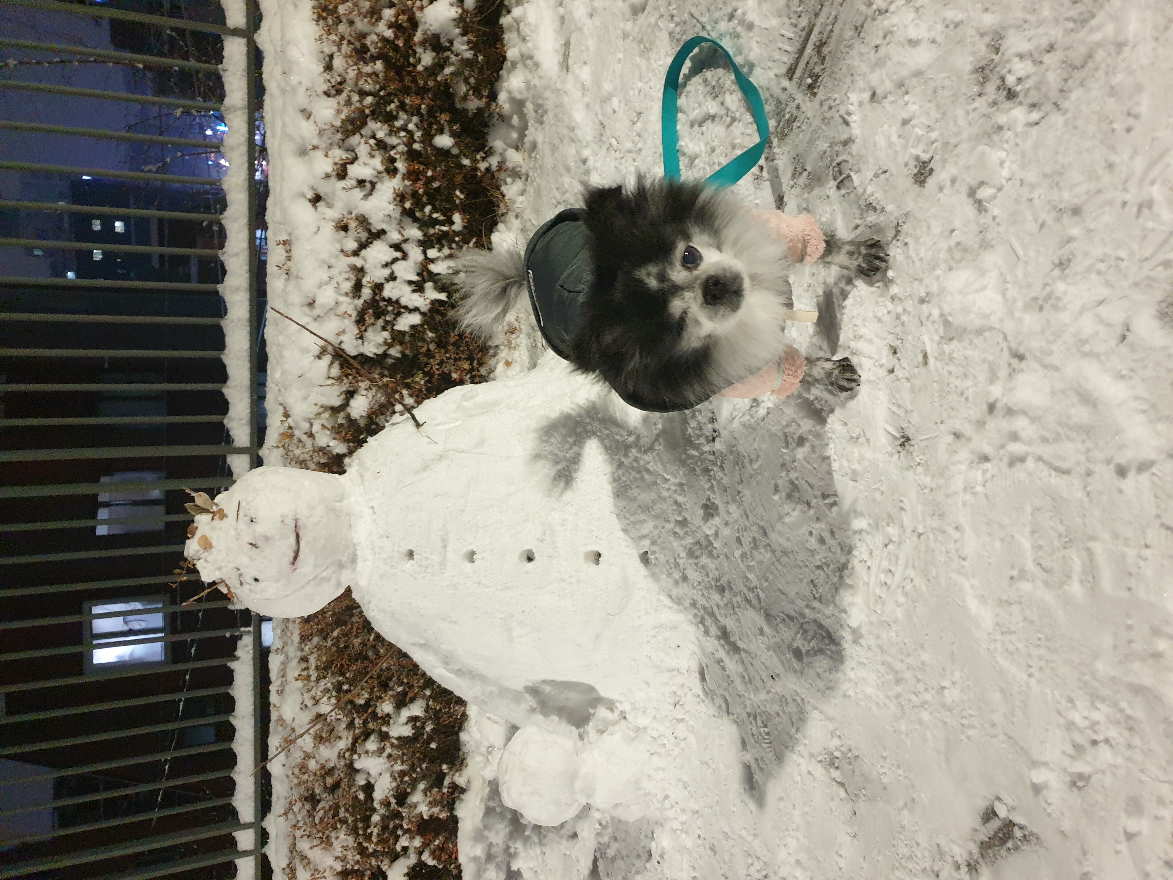 순남이 추가사진 올려요