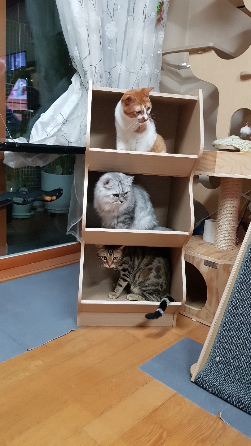 다빈이 입양 3주년