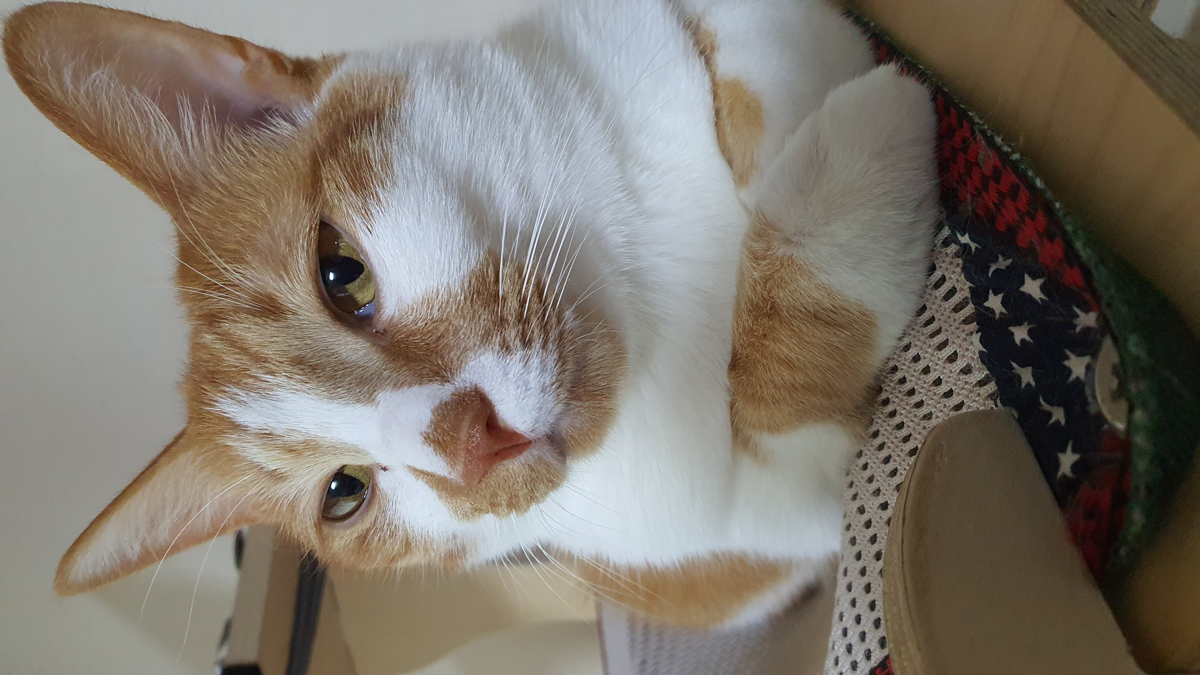 다빈이 입양 3주년