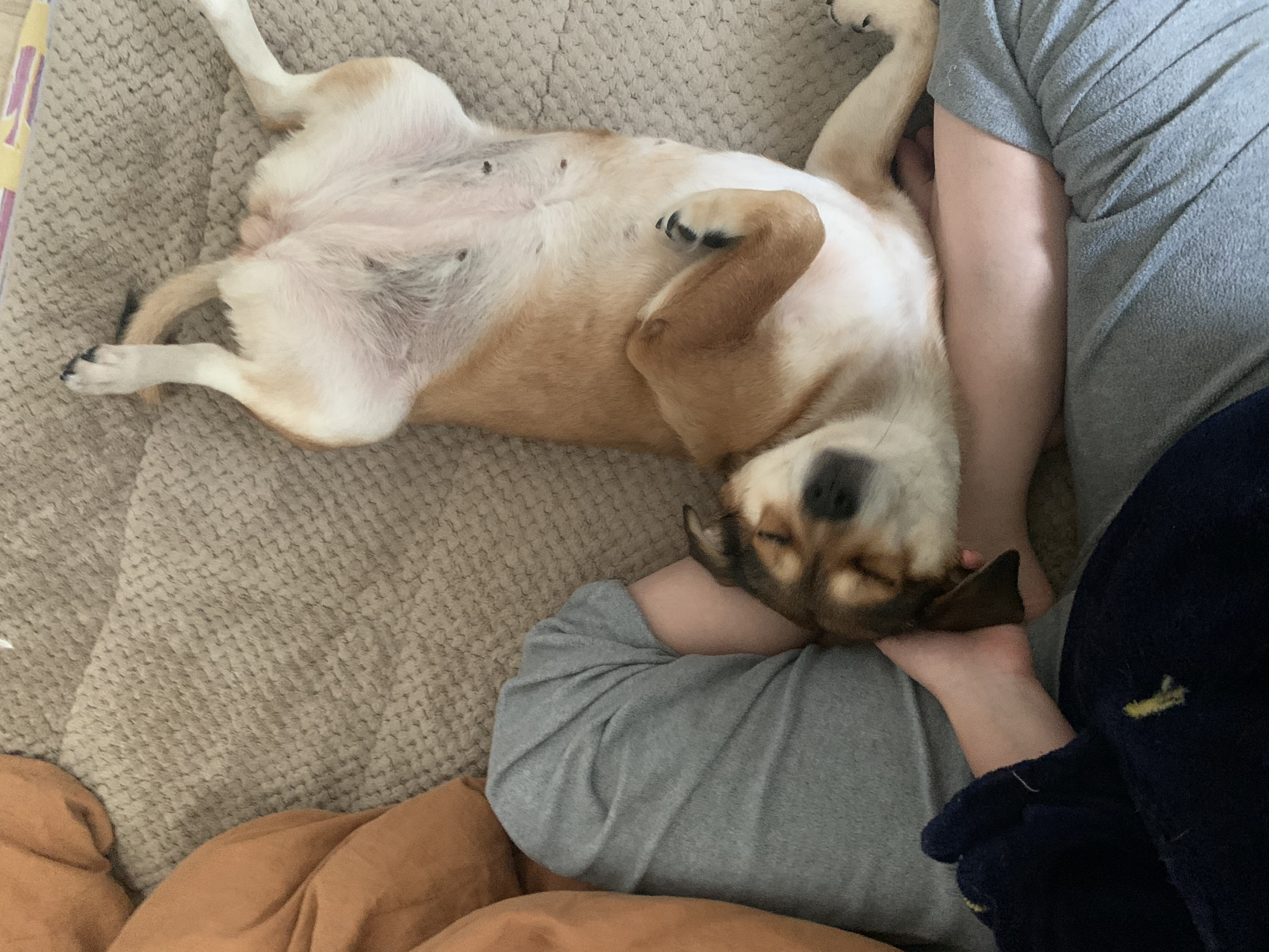 제니 입양 3개월!