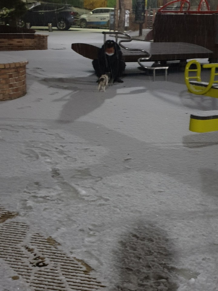 파파(아띠)입양 2주되는날