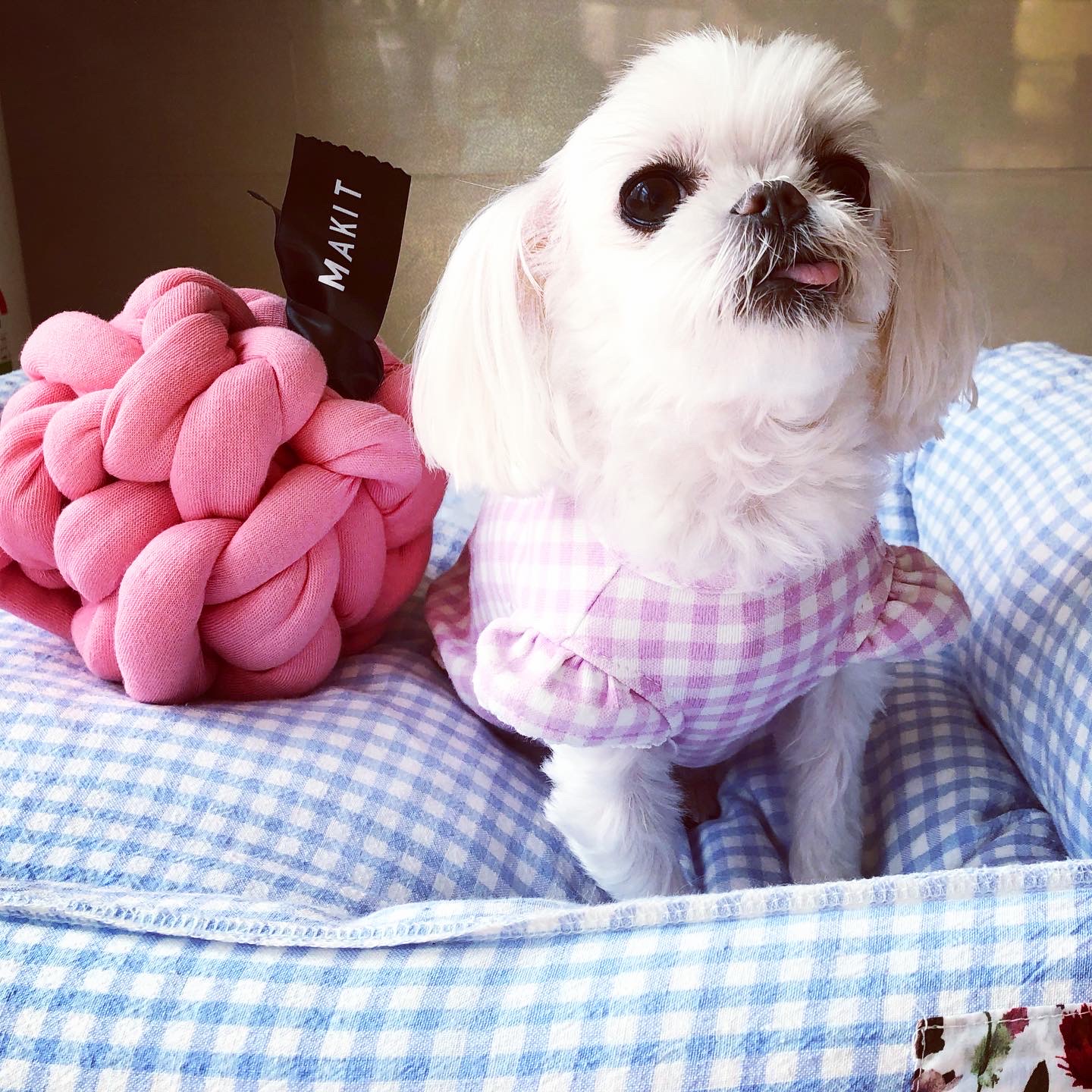 요다와 3년째 동거중 