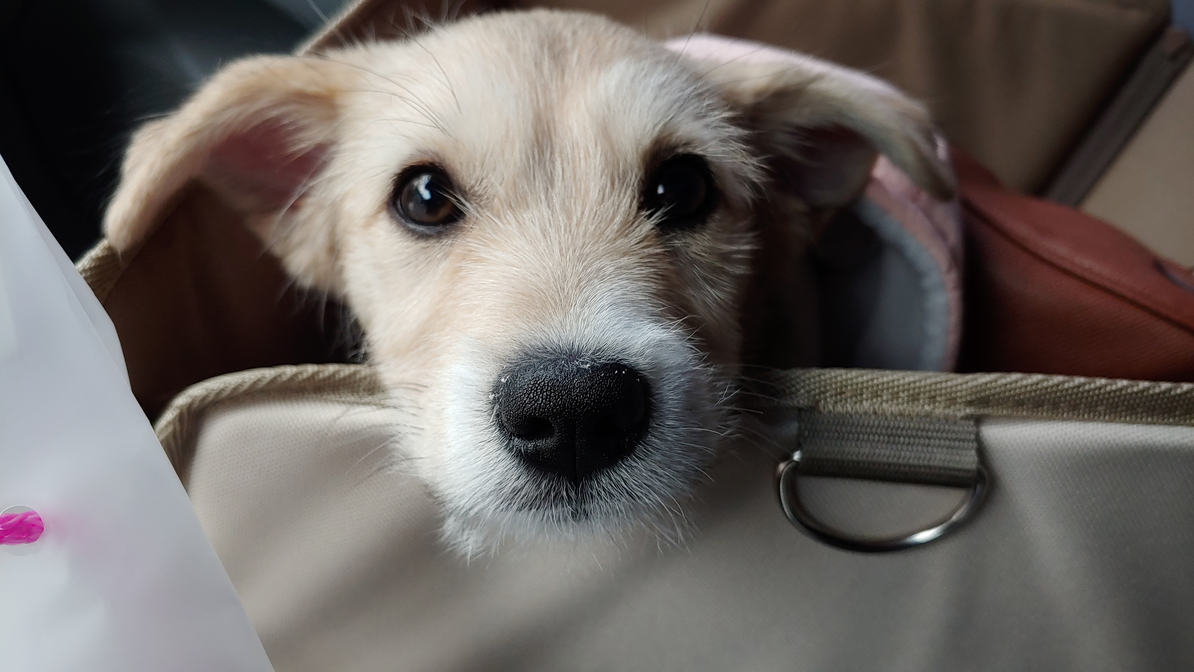 미루 (구 마노) 2주 후기입니다^^