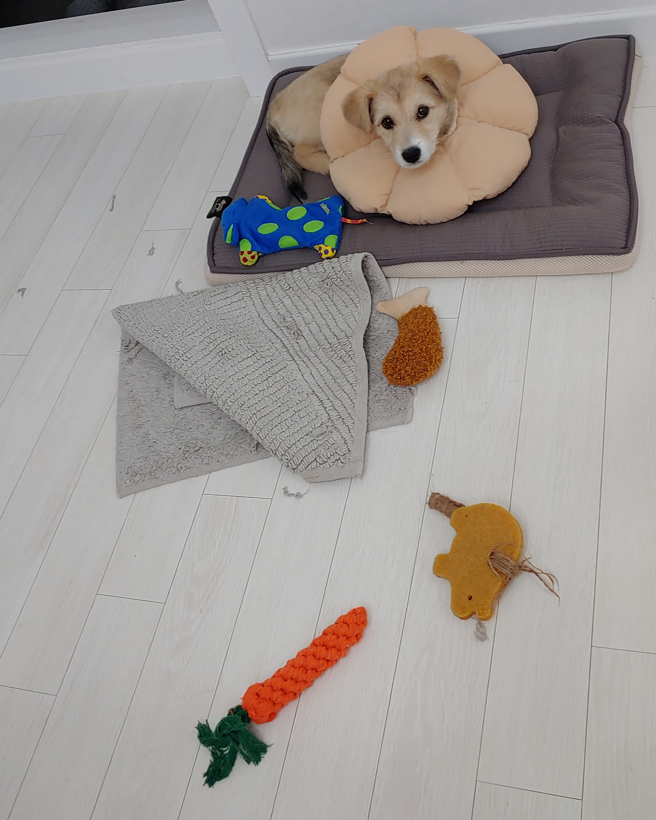 미루 (구 마노) 2주 후기입니다^^