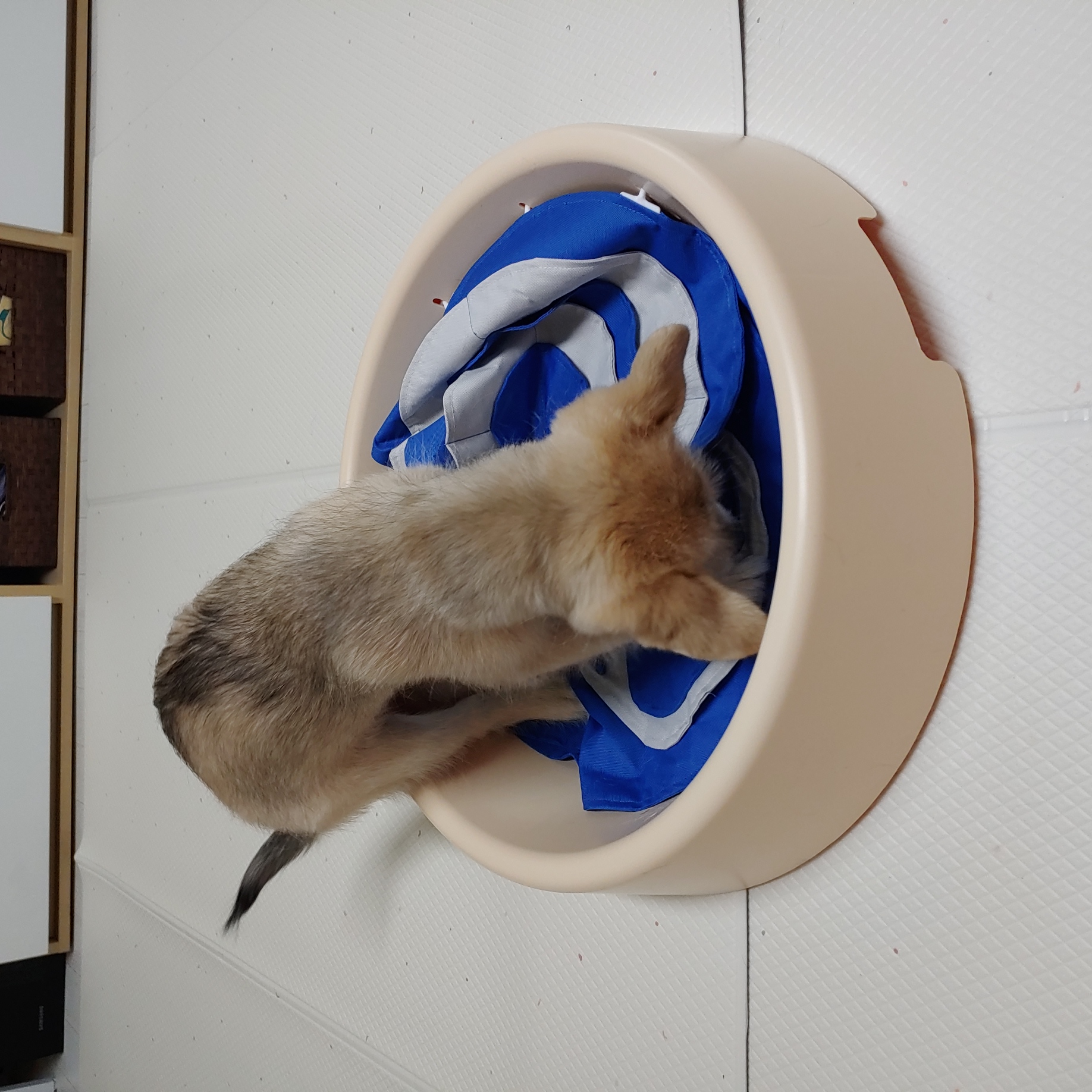 미루 (마노) 한 달 이야기