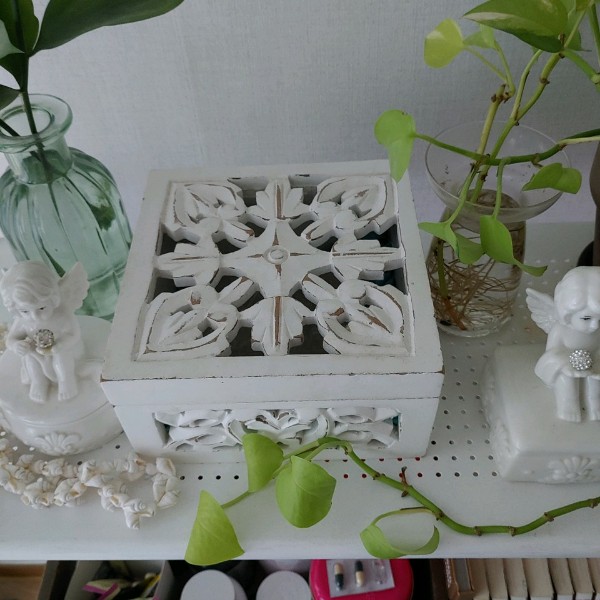 렌지 10년 차 입양 후기