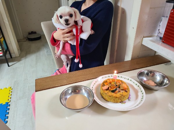 초롱이 3년 차 입양후기