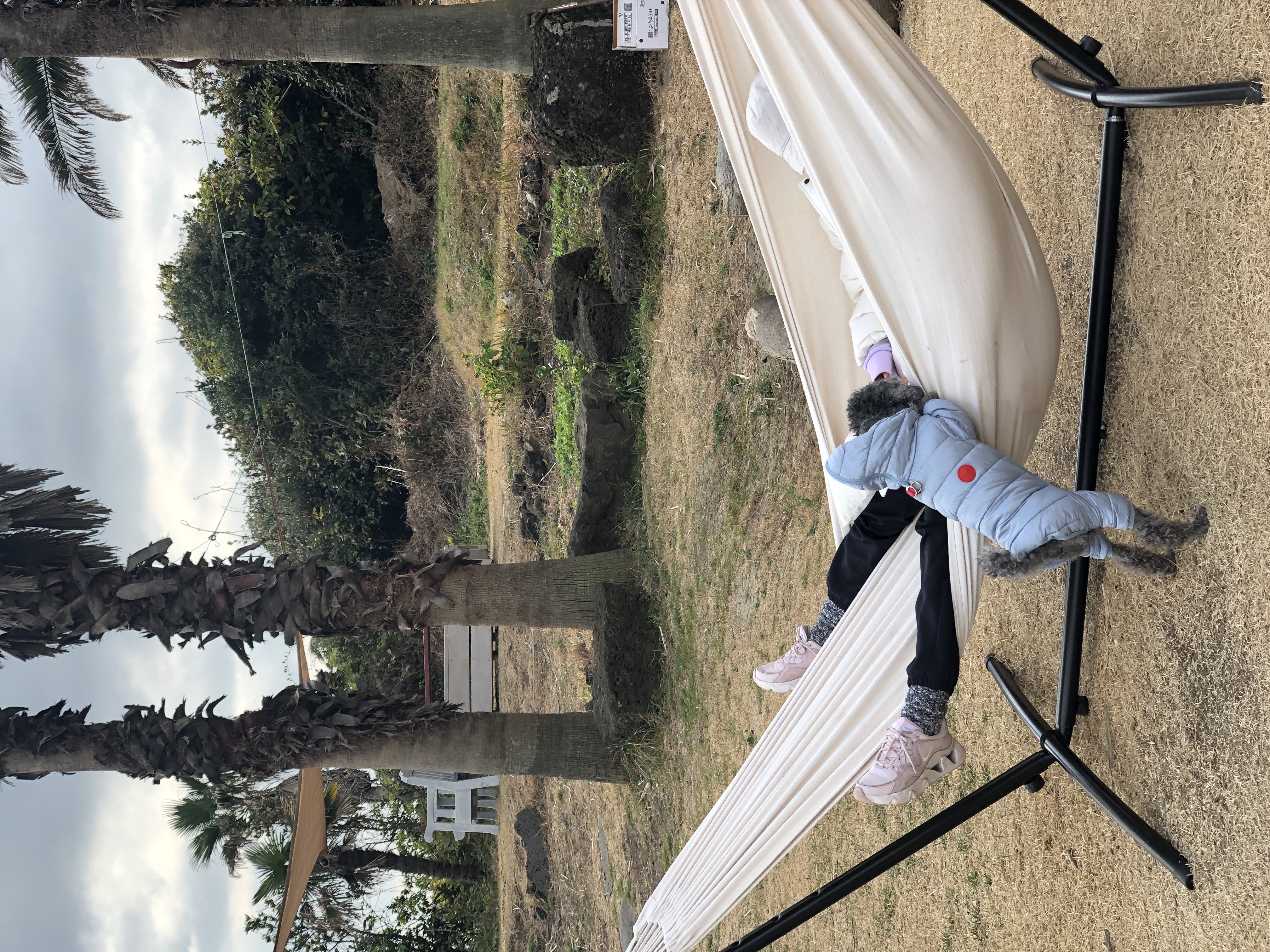 블랑 입양 3년차 후기