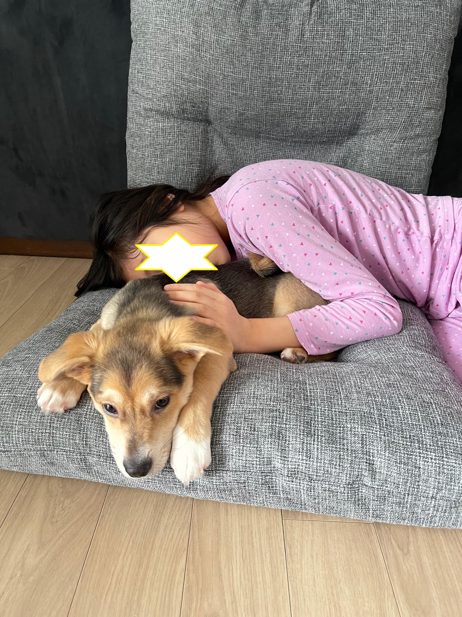 마초 입양 일주일 후기