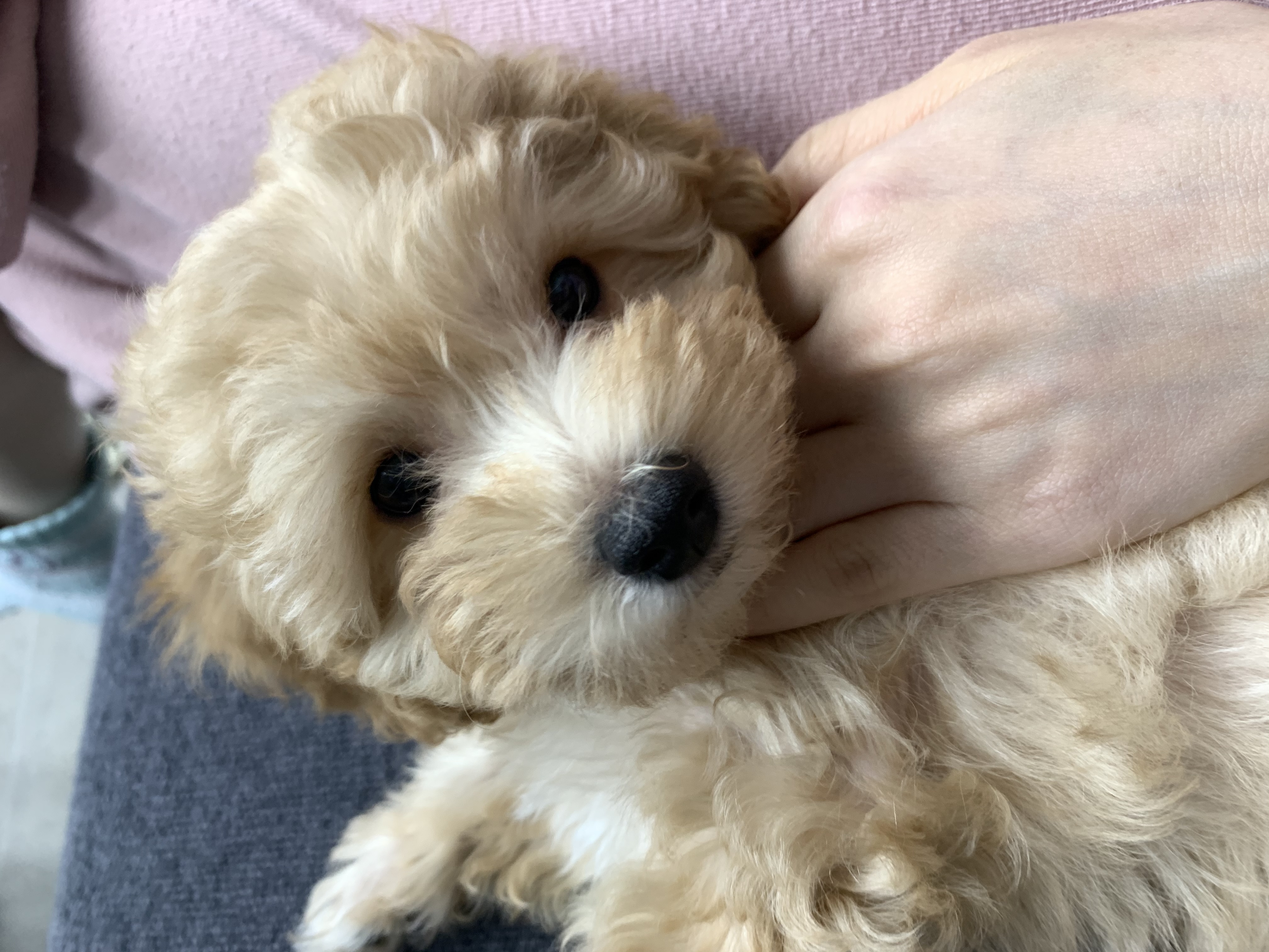 해이 잘 적응하고 있어요~!