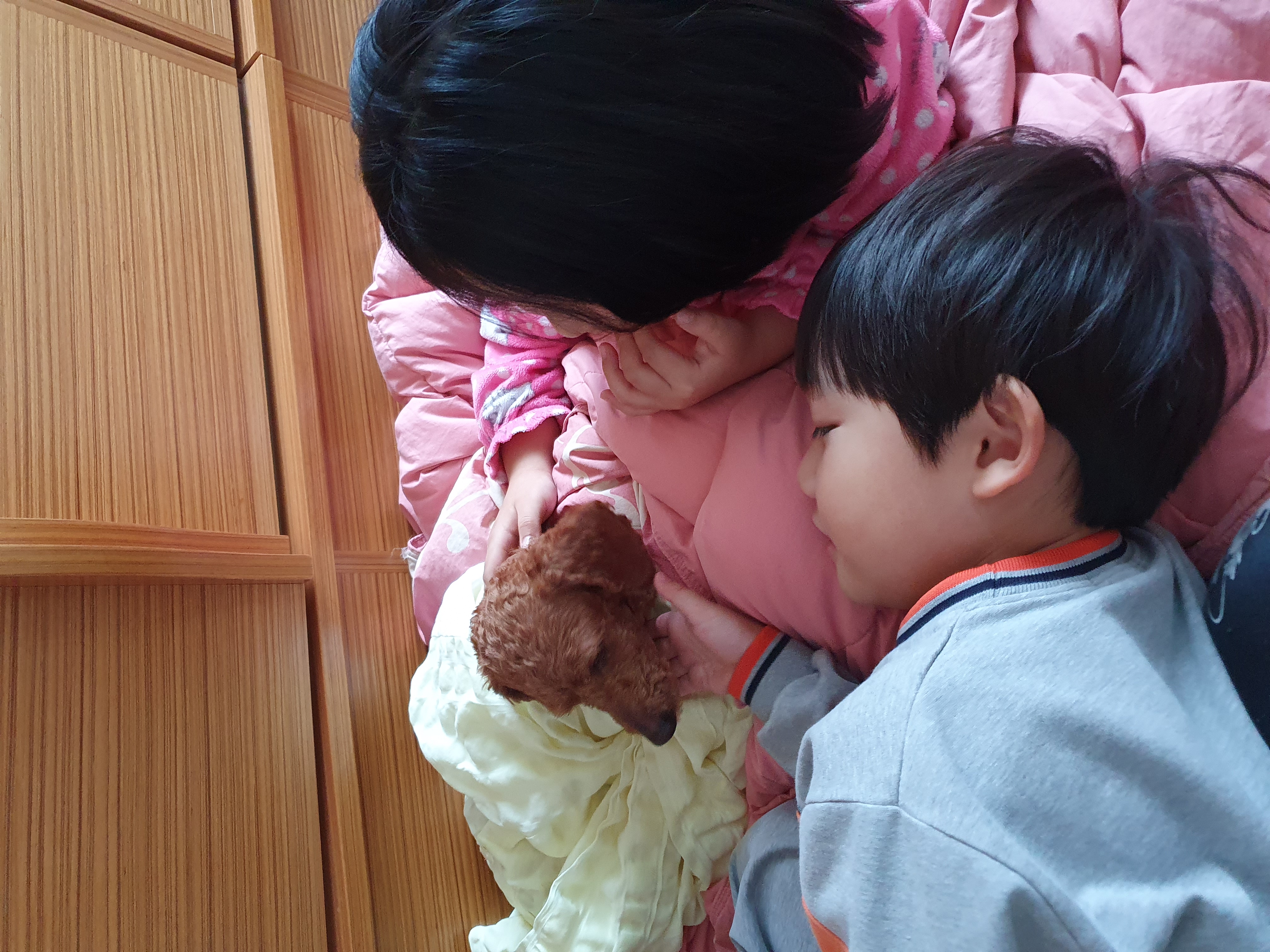 앙금이랑 일주일 살기^^♡♡♡