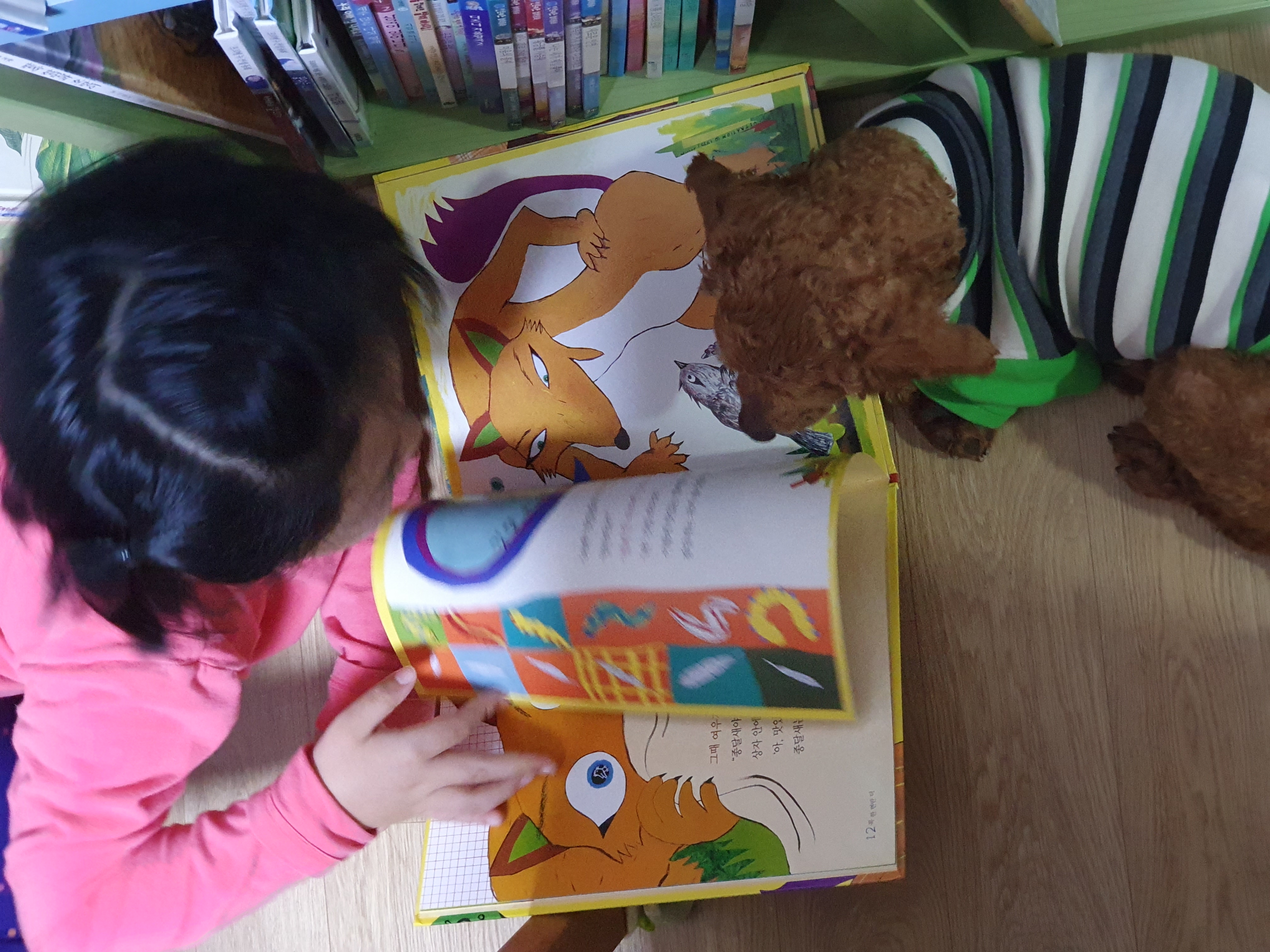 앙금이랑 일주일 살기^^♡♡♡