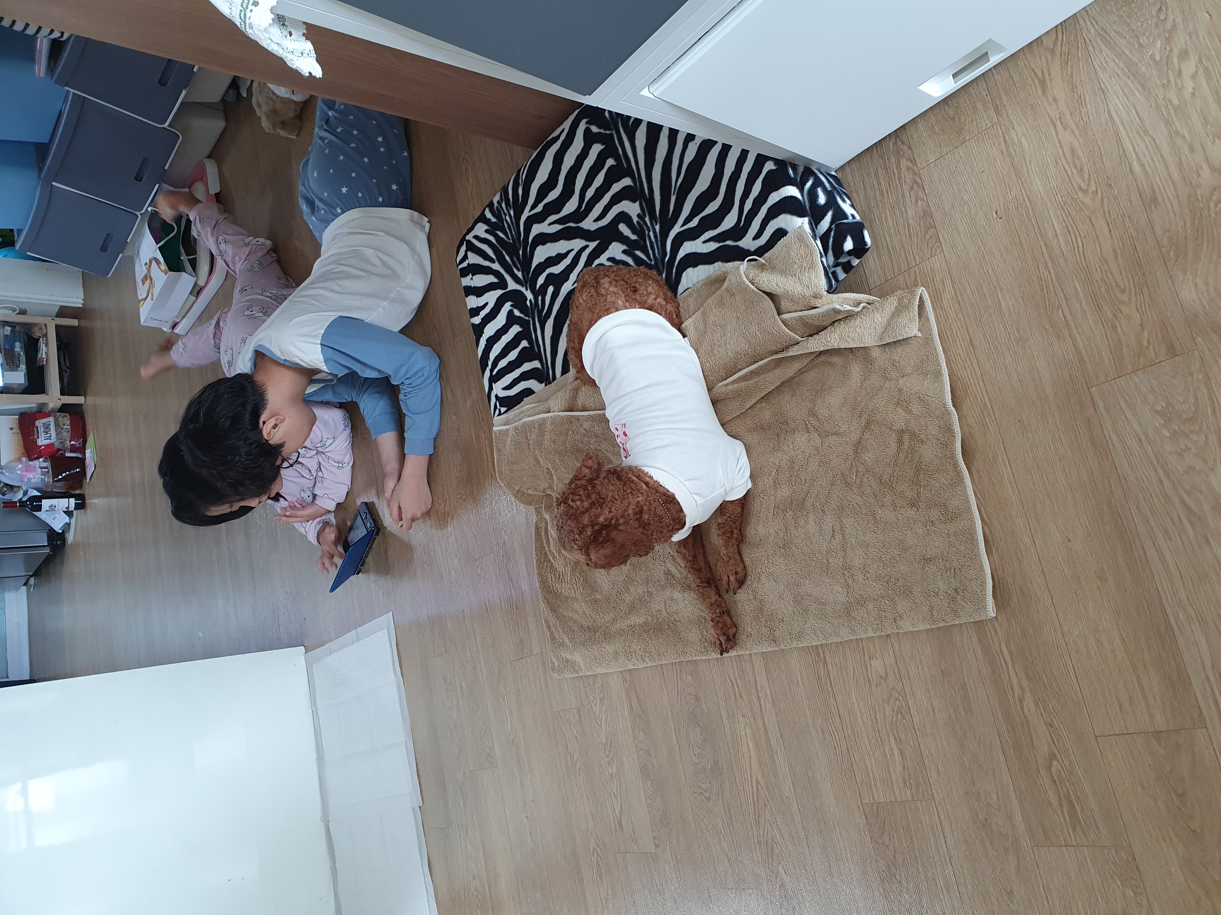 앙금이랑 일주일 살기^^♡♡♡