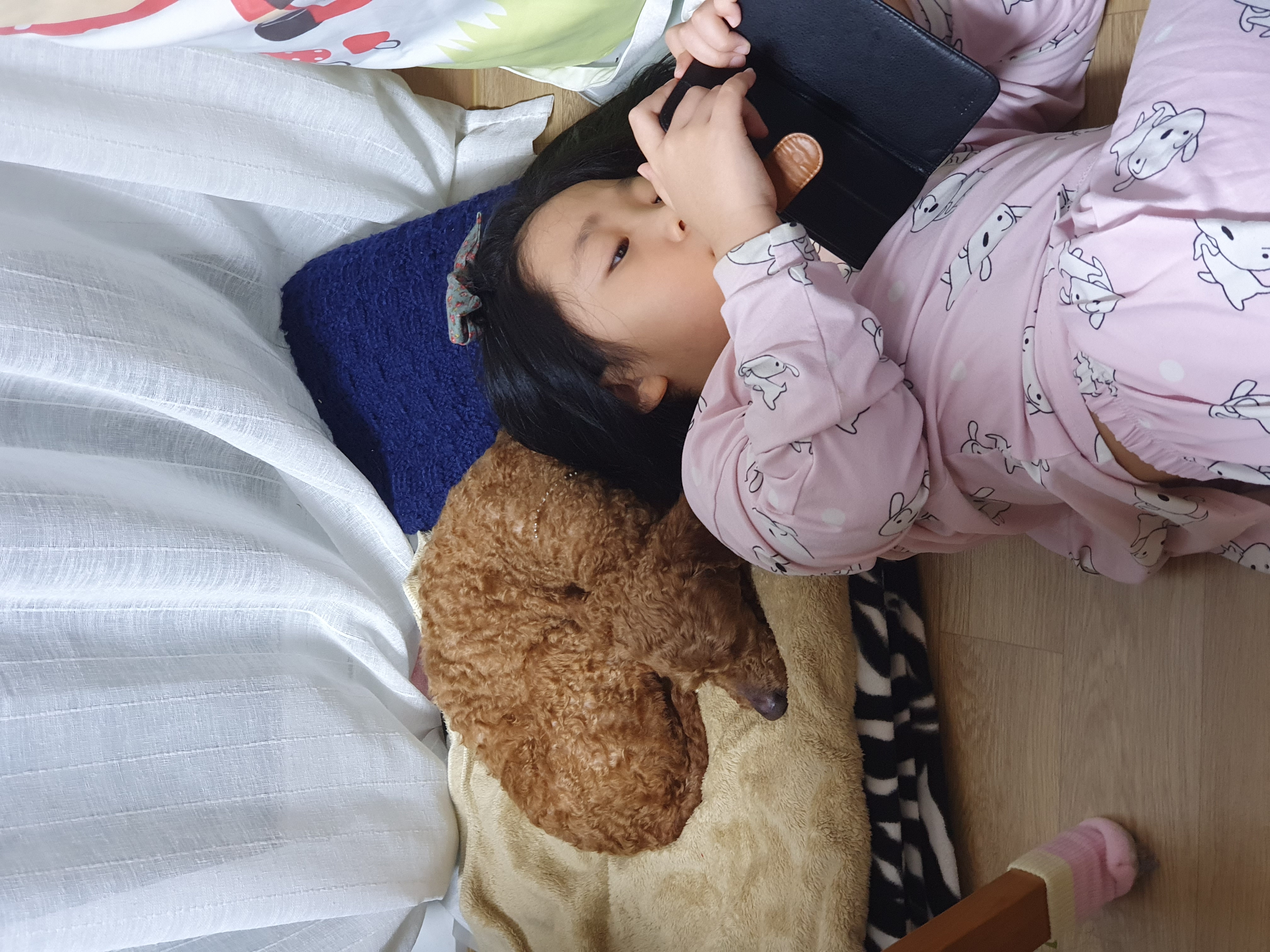 앙금이랑 일주일 살기^^♡♡♡