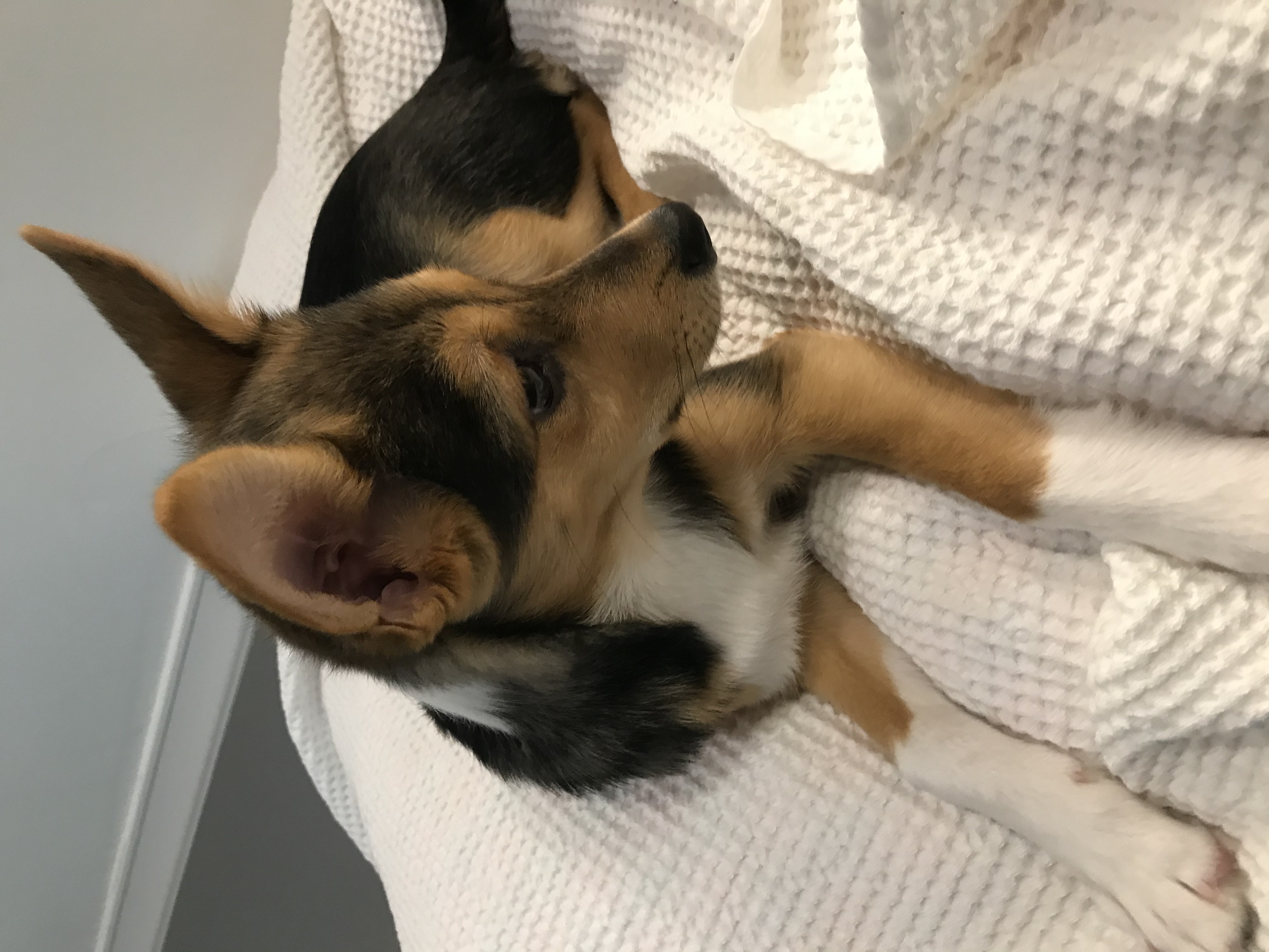 마레와 함께한 일주일:)