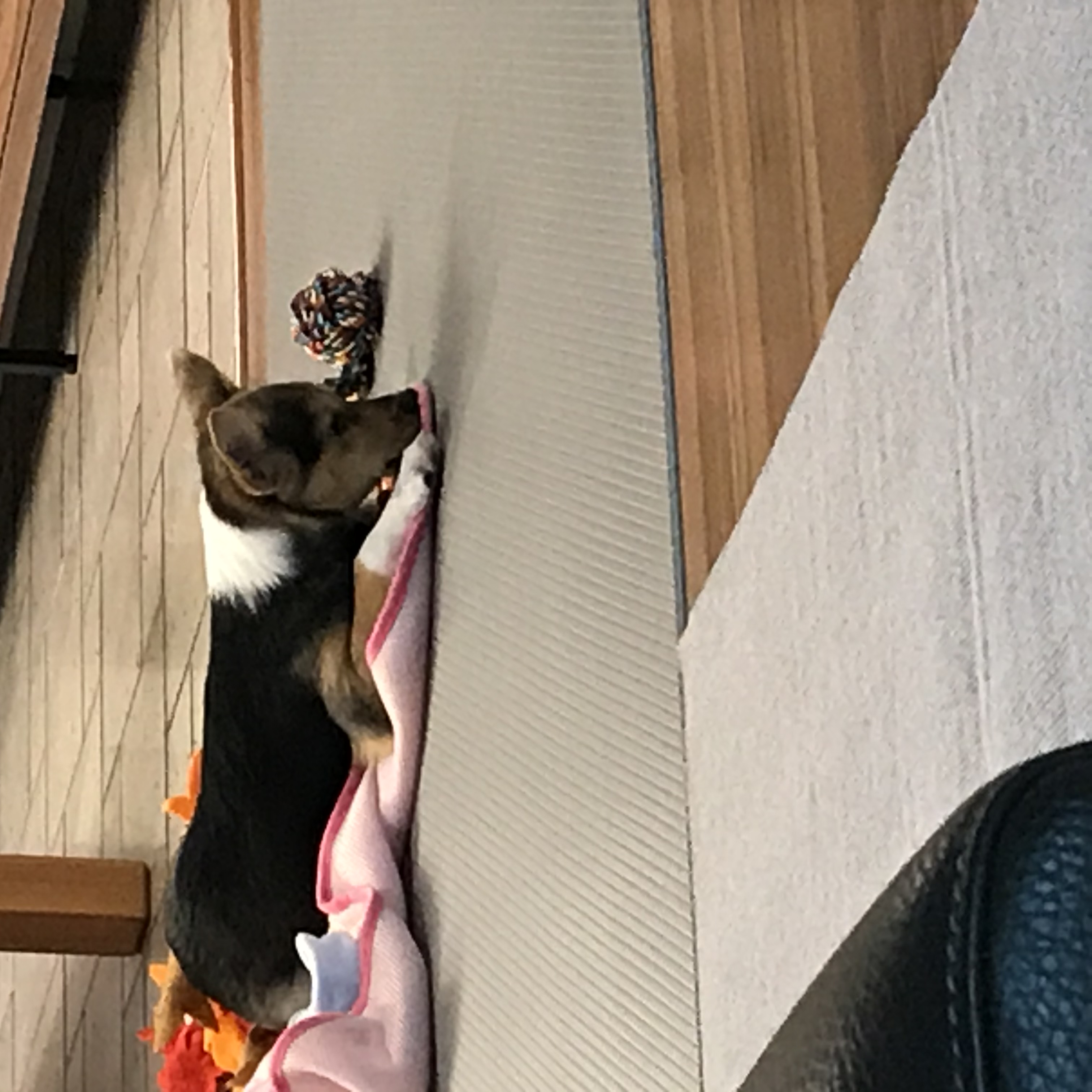 마레와 함께한 일주일:)