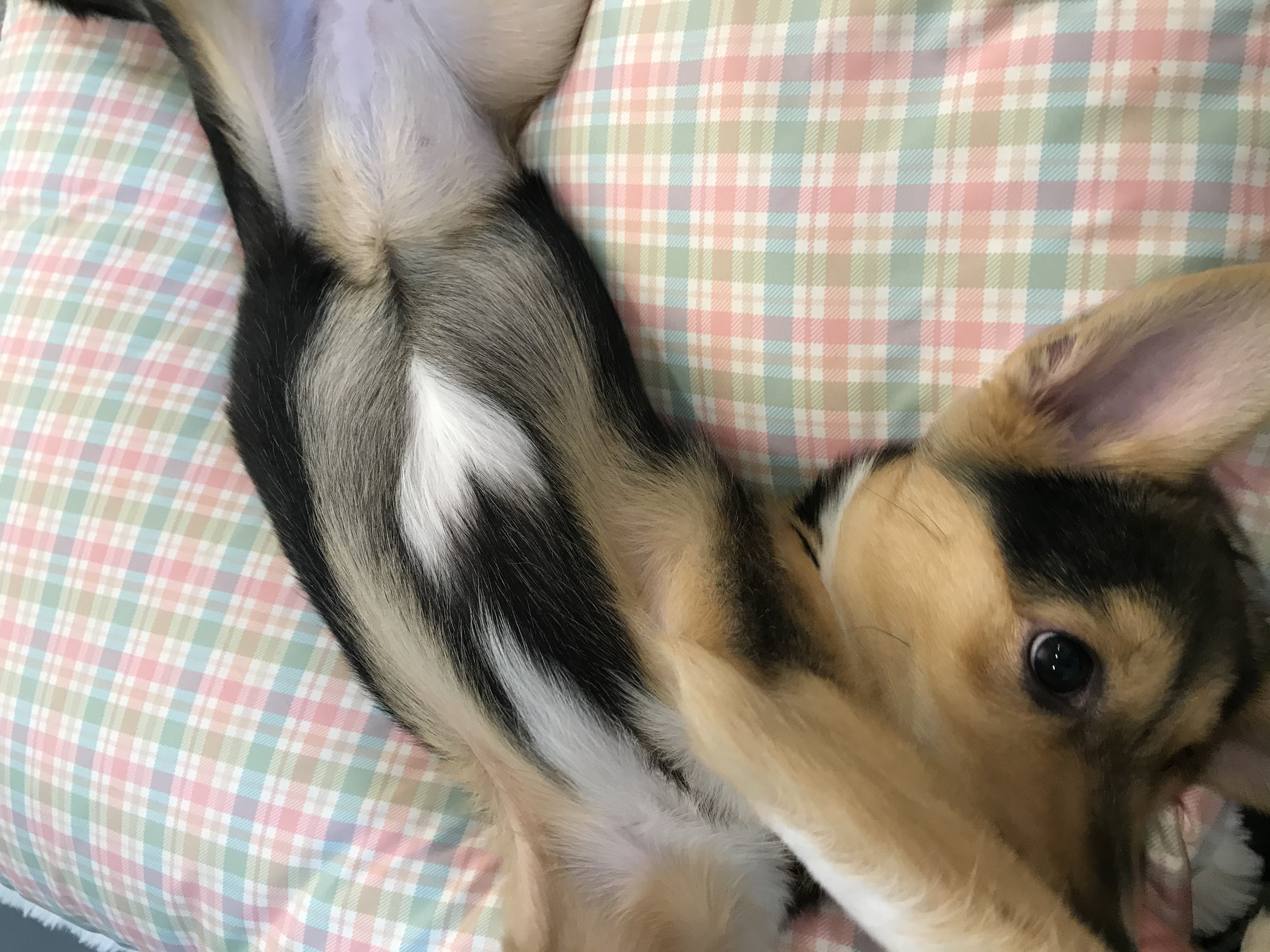 마레와 함께한 일주일:)