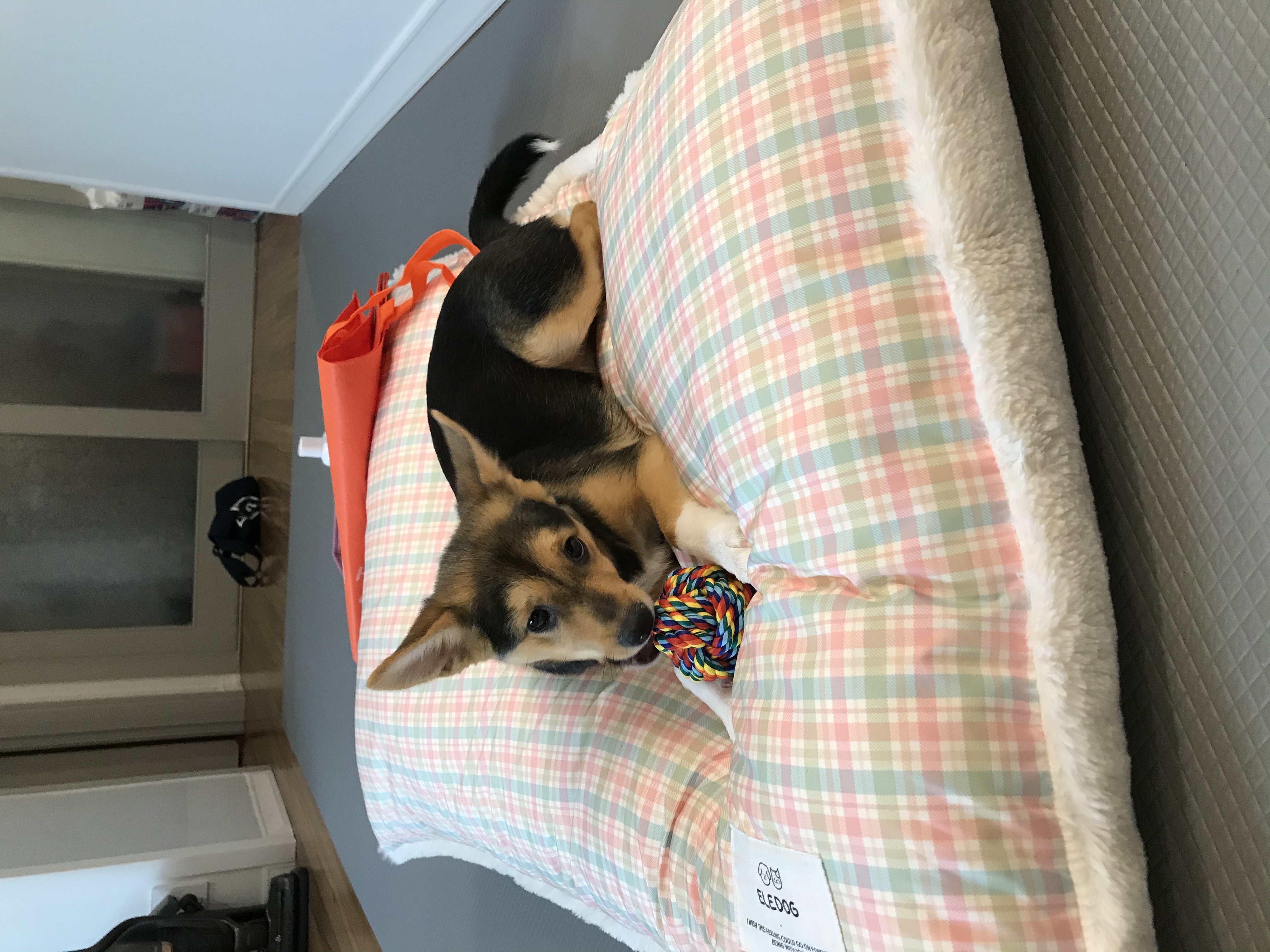 마레와 함께한 일주일:)