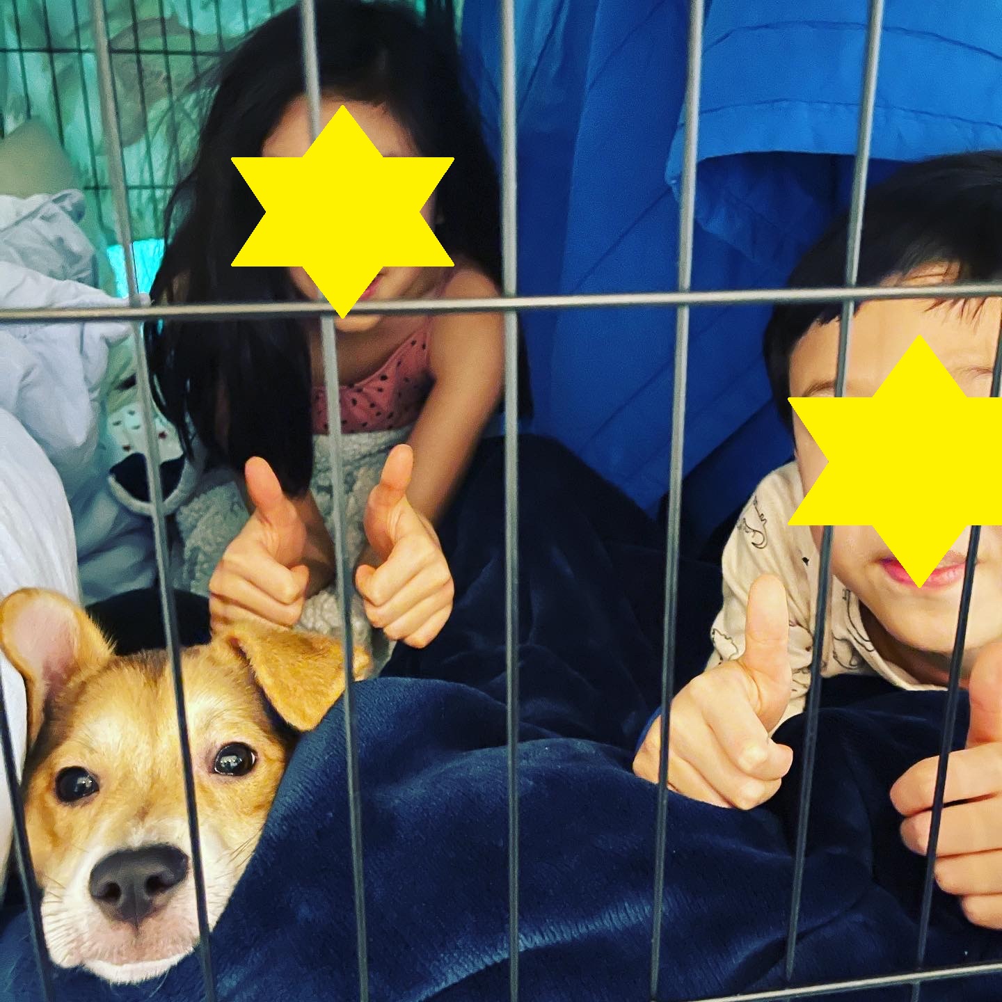 마초 입양 한달 후기