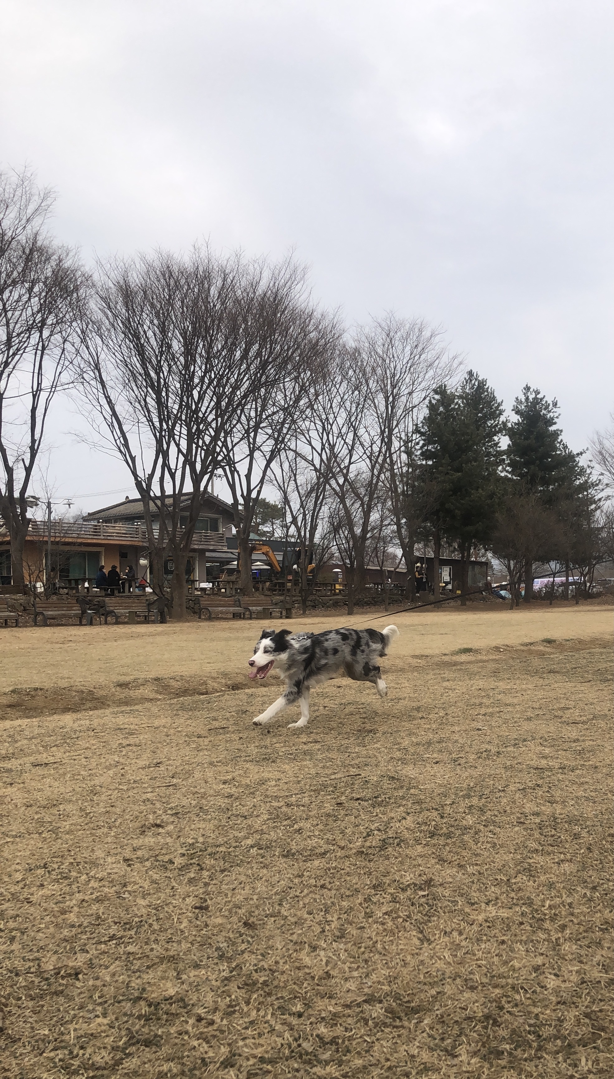 샤인이와 가족된지 3개월