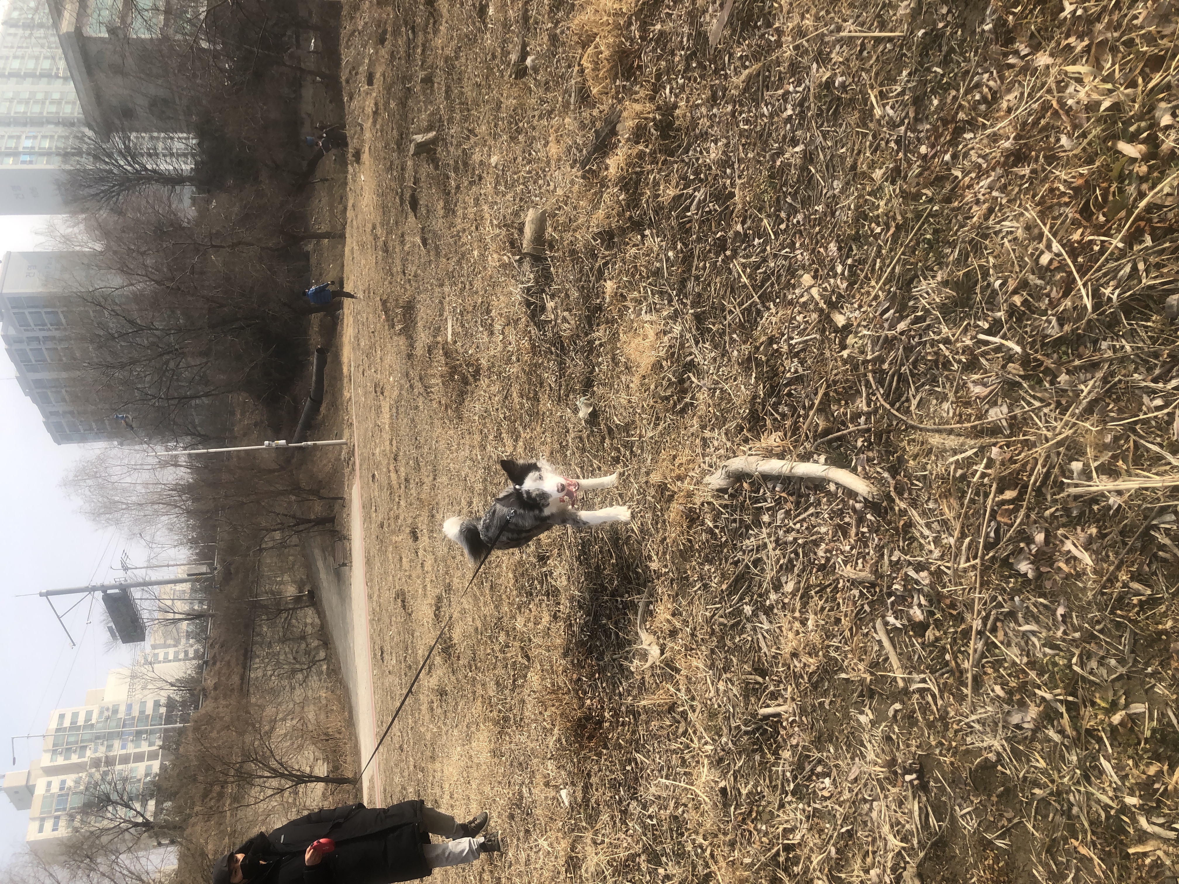 샤인이와 가족된지 3개월