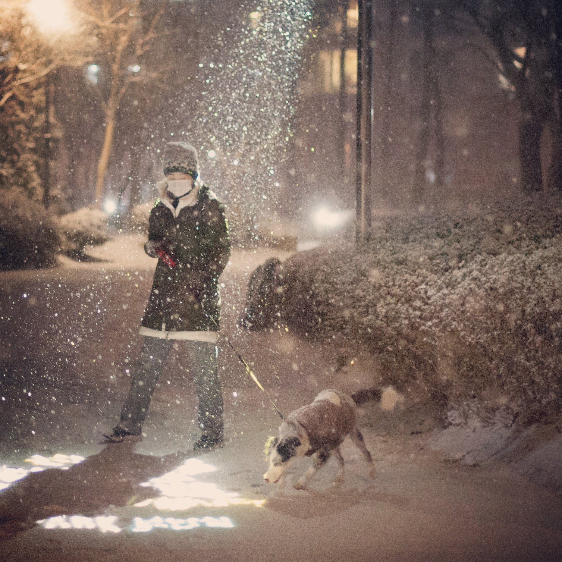 샤인이와 가족된지 3개월