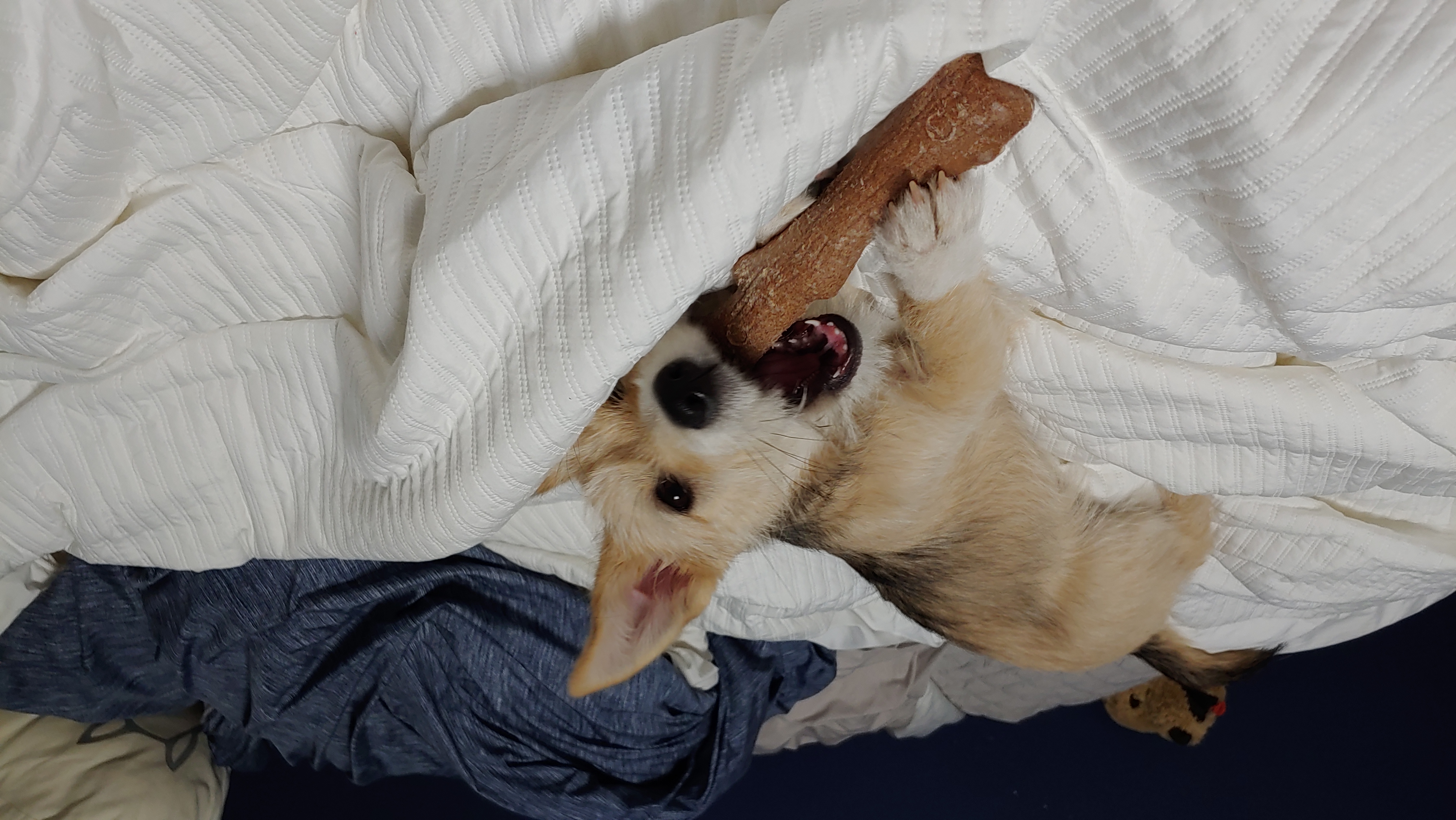 미루 (마노) 두 달 이야기