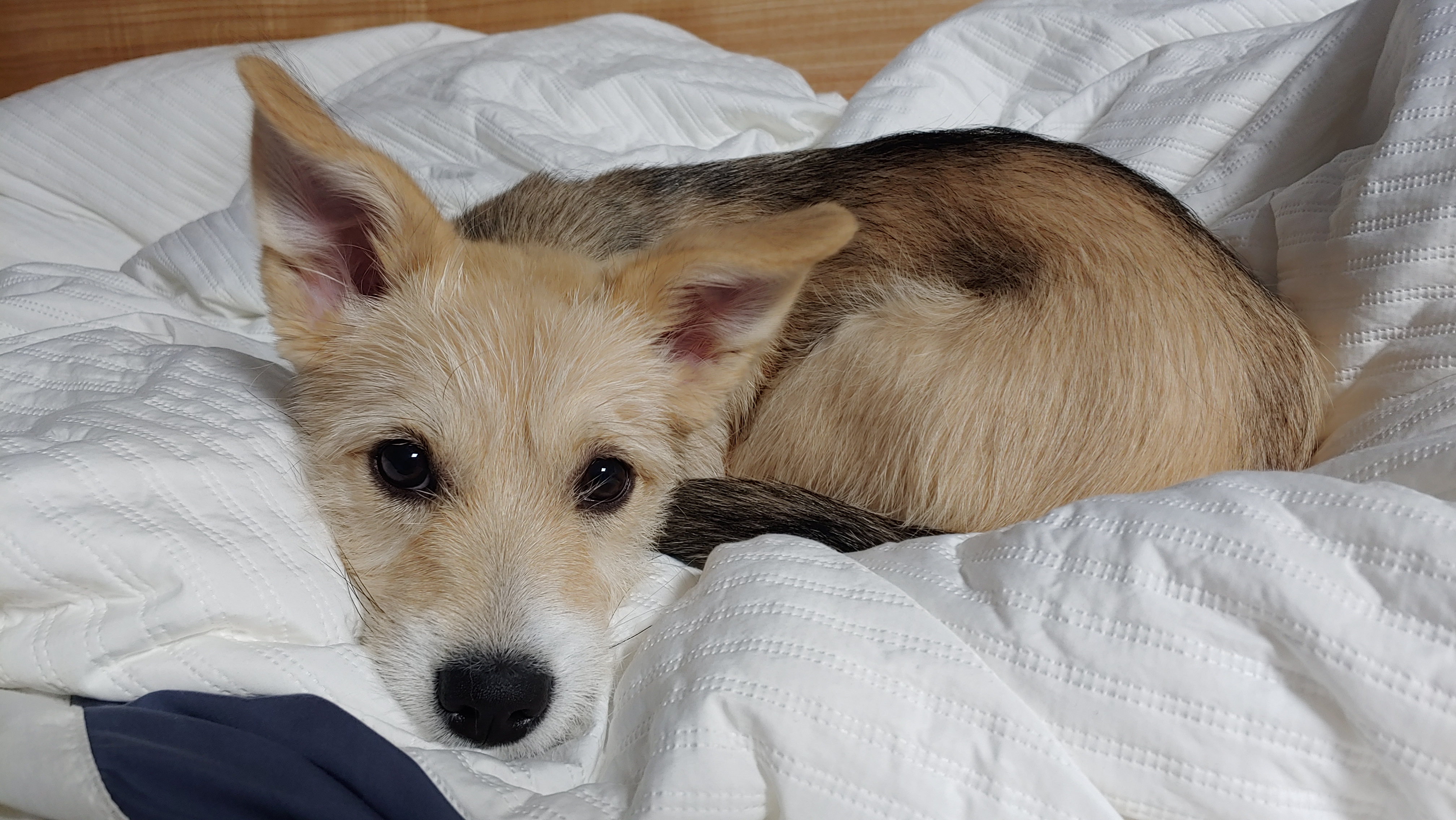 미루 (마노) 두 달 이야기