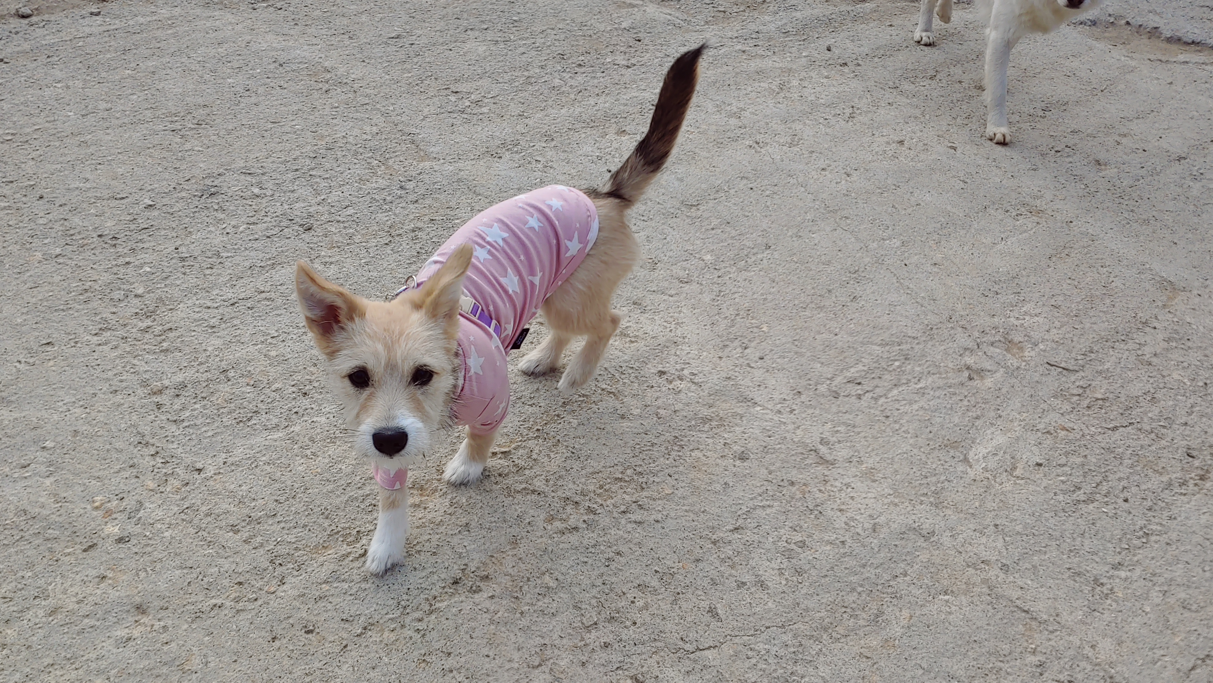 미루 (마노) 두 달 이야기