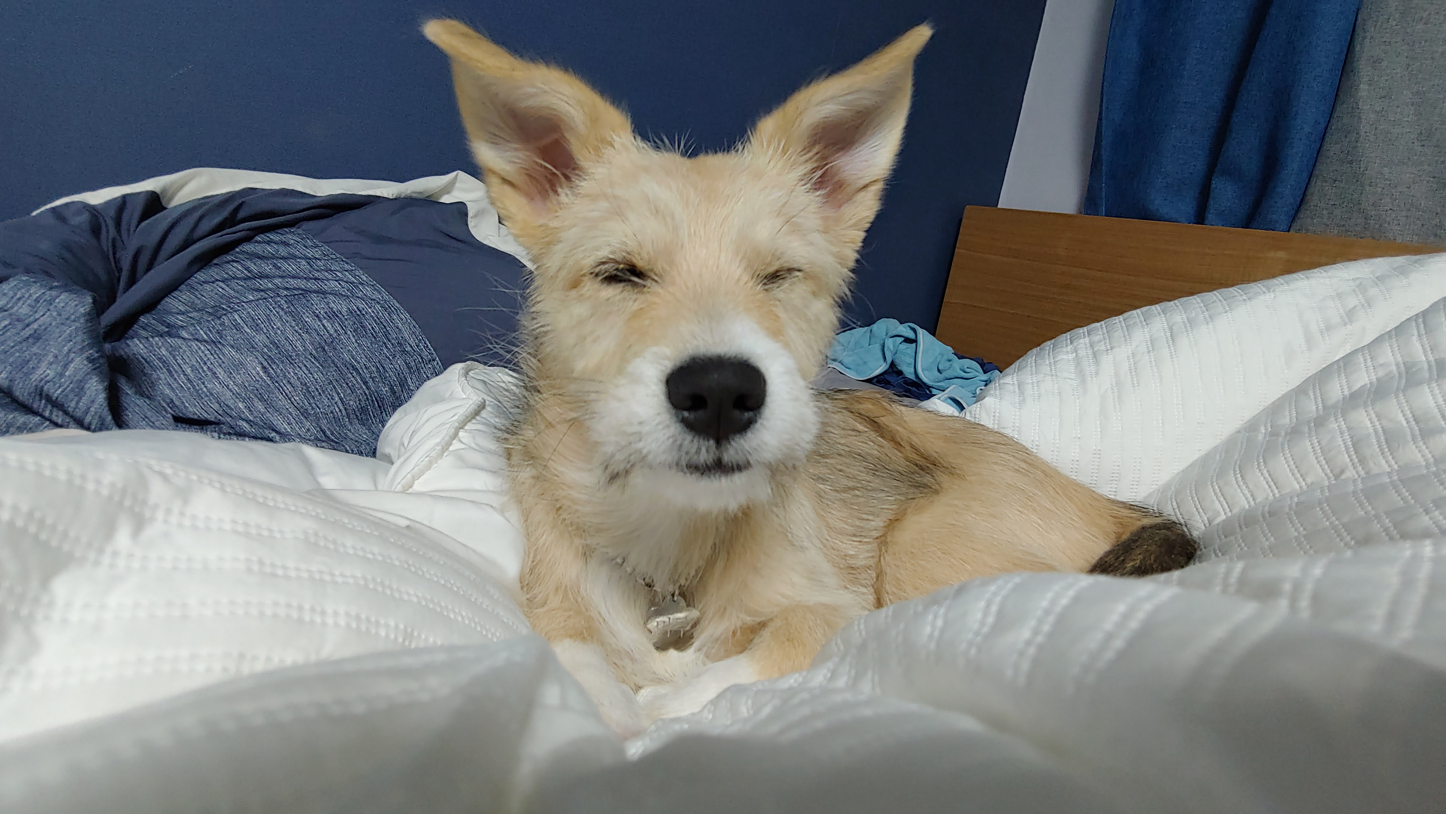 미루 (마노) 두 달 이야기