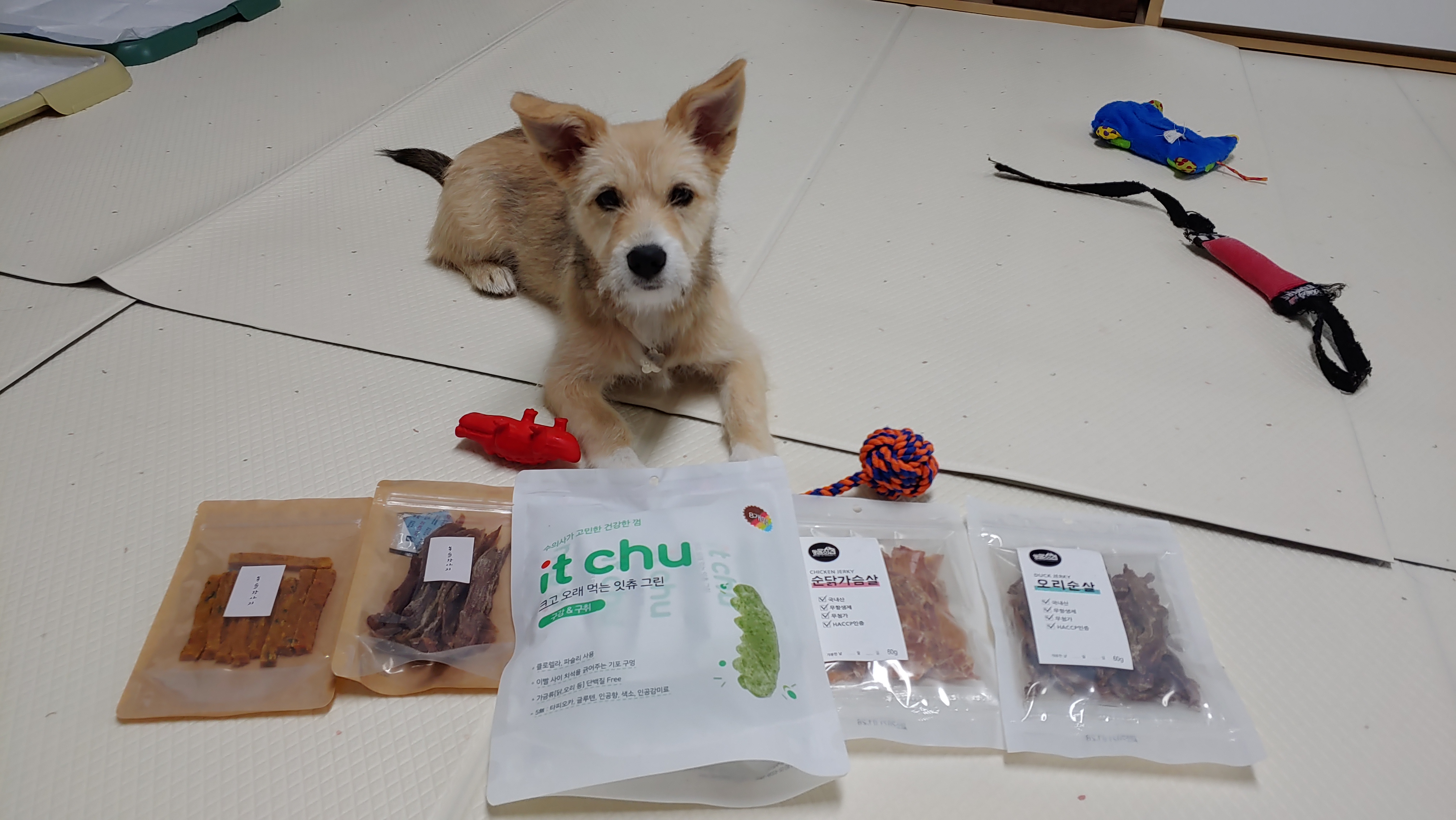 미루 (마노) 두 달 이야기