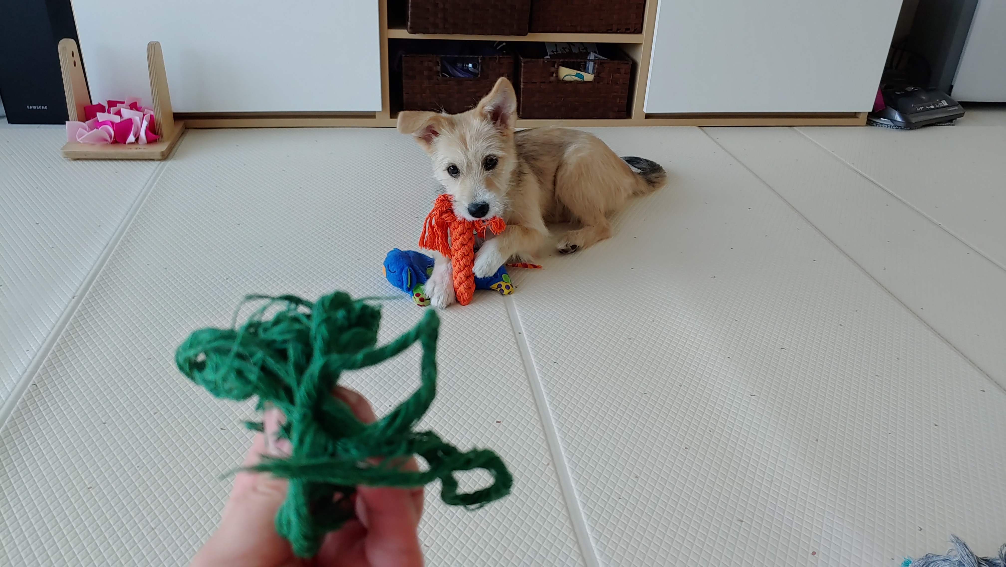 미루 (마노) 두 달 이야기