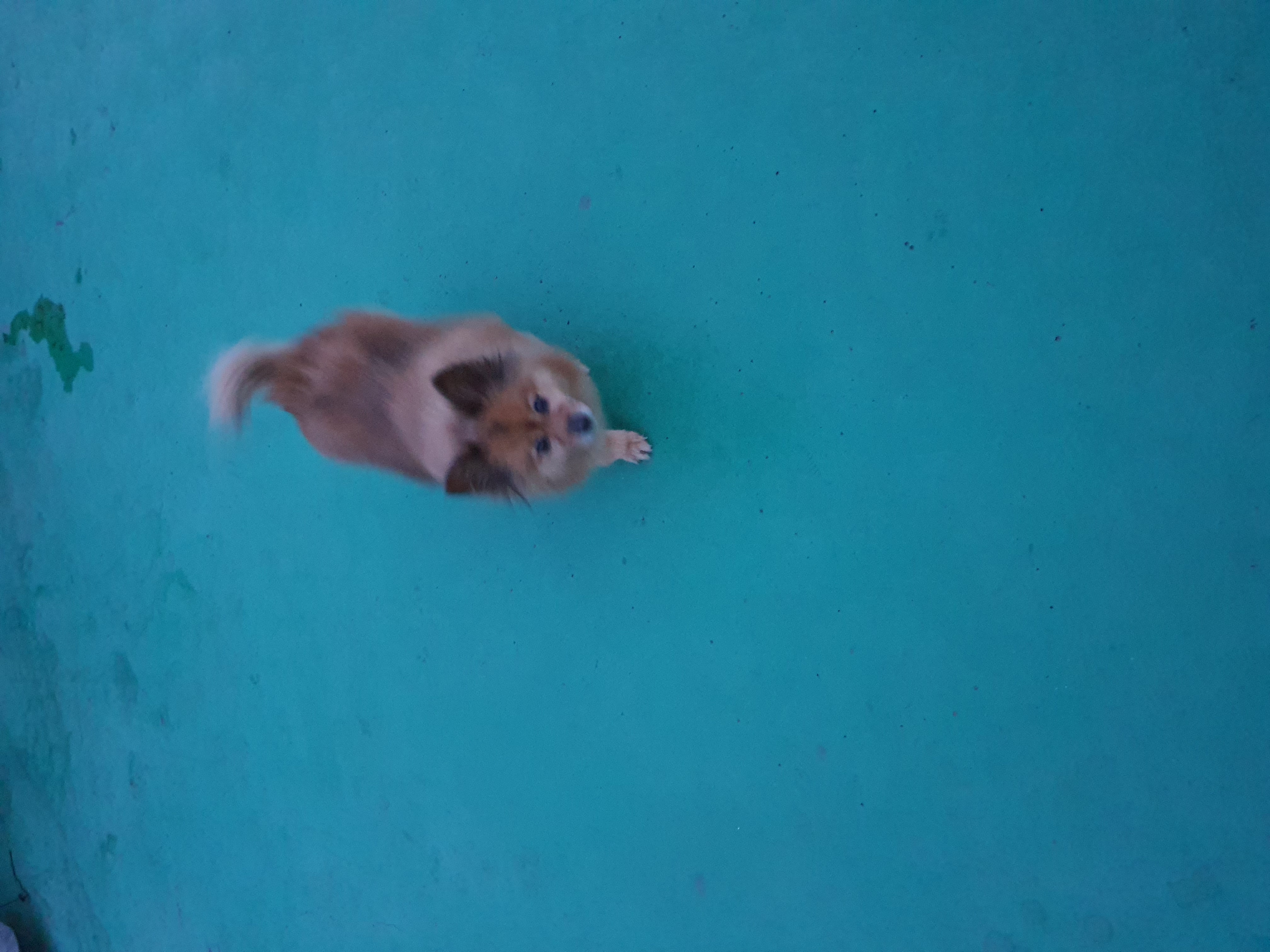 멜론이 입양 한달~~