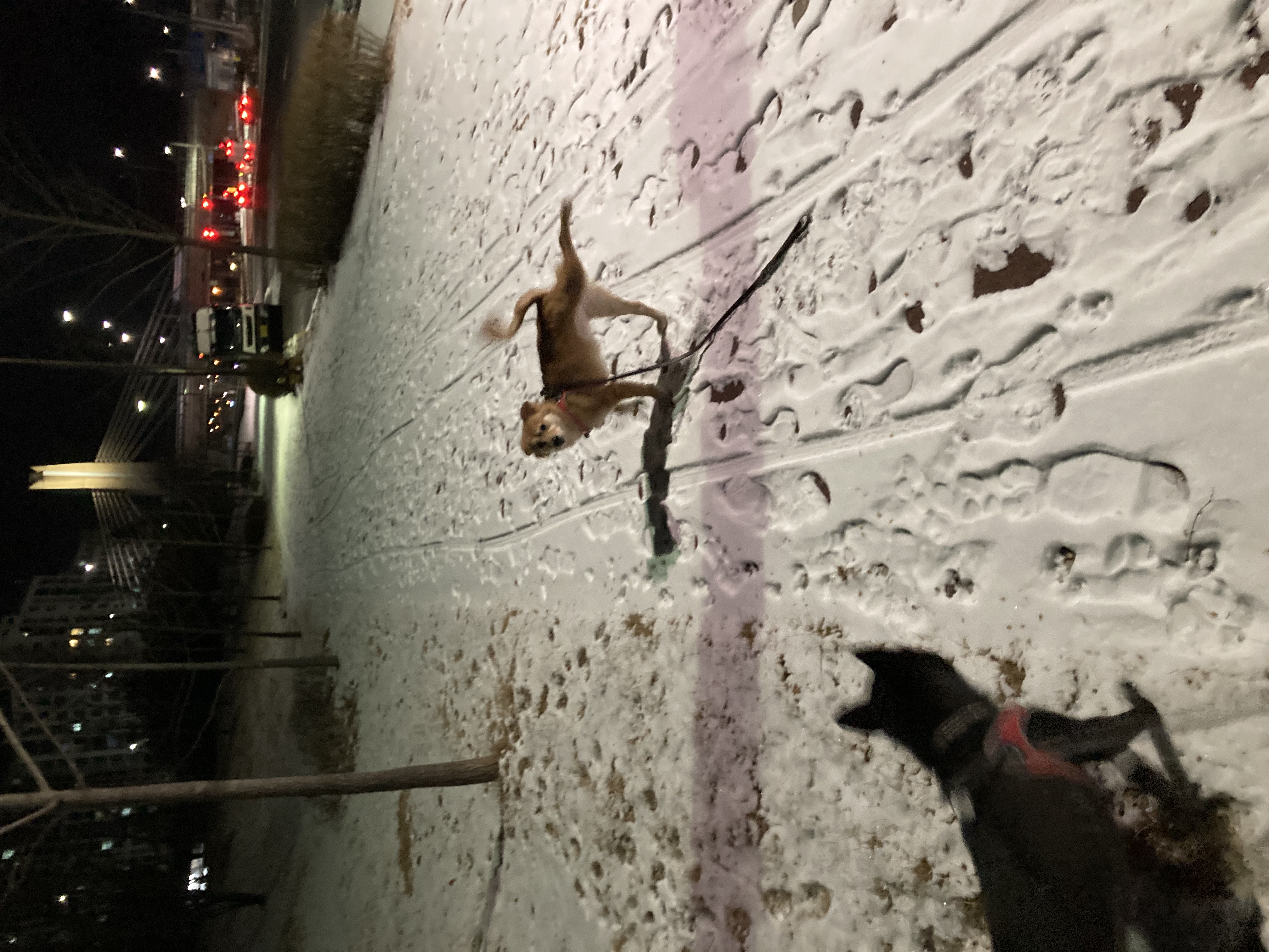 금까 소식입니다