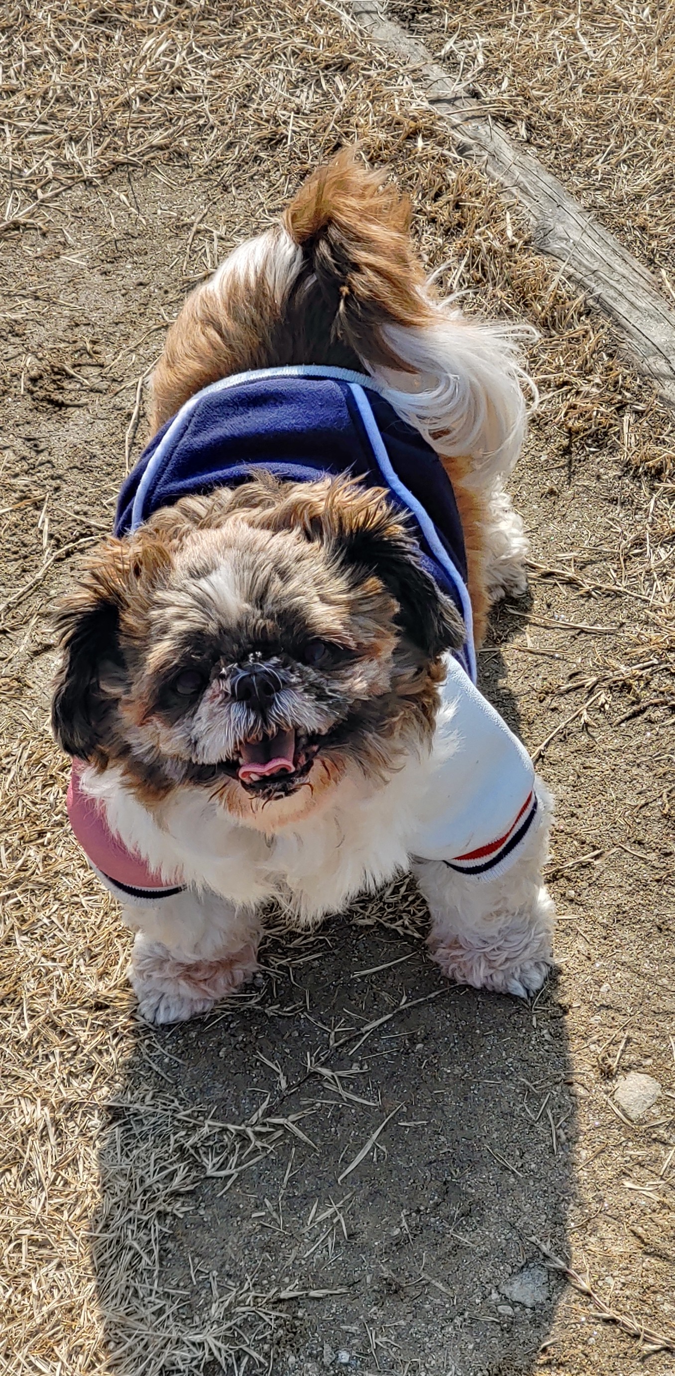 블레스 와 세복