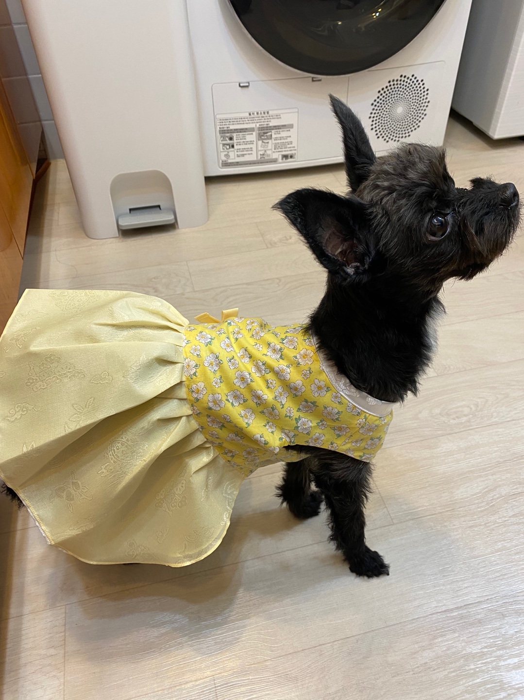 아라 1년이 되어가네요^^