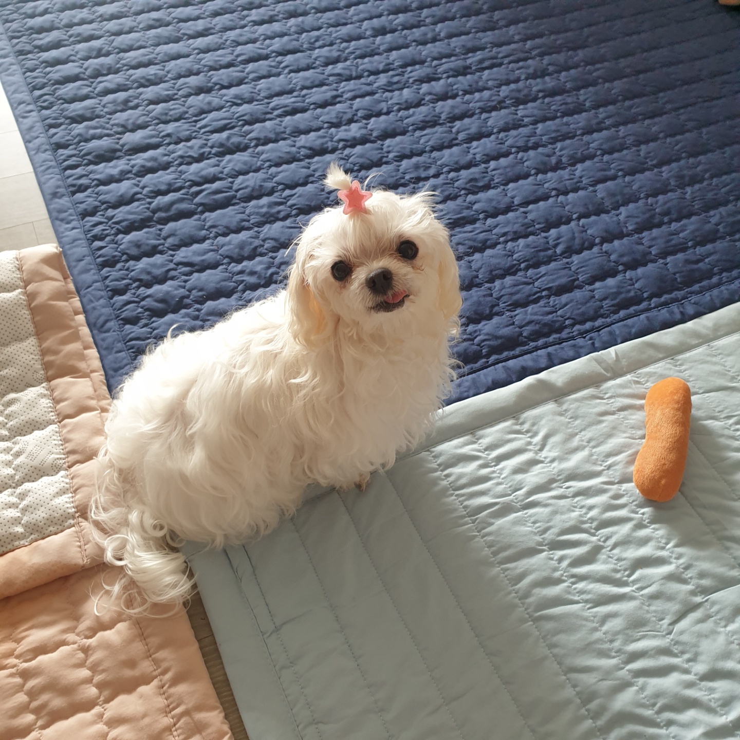 아름다운 꽃순이랑 멋진 금동이