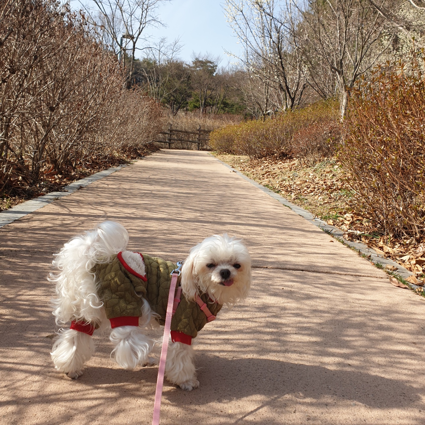 아름다운 꽃순이랑 멋진 금동이