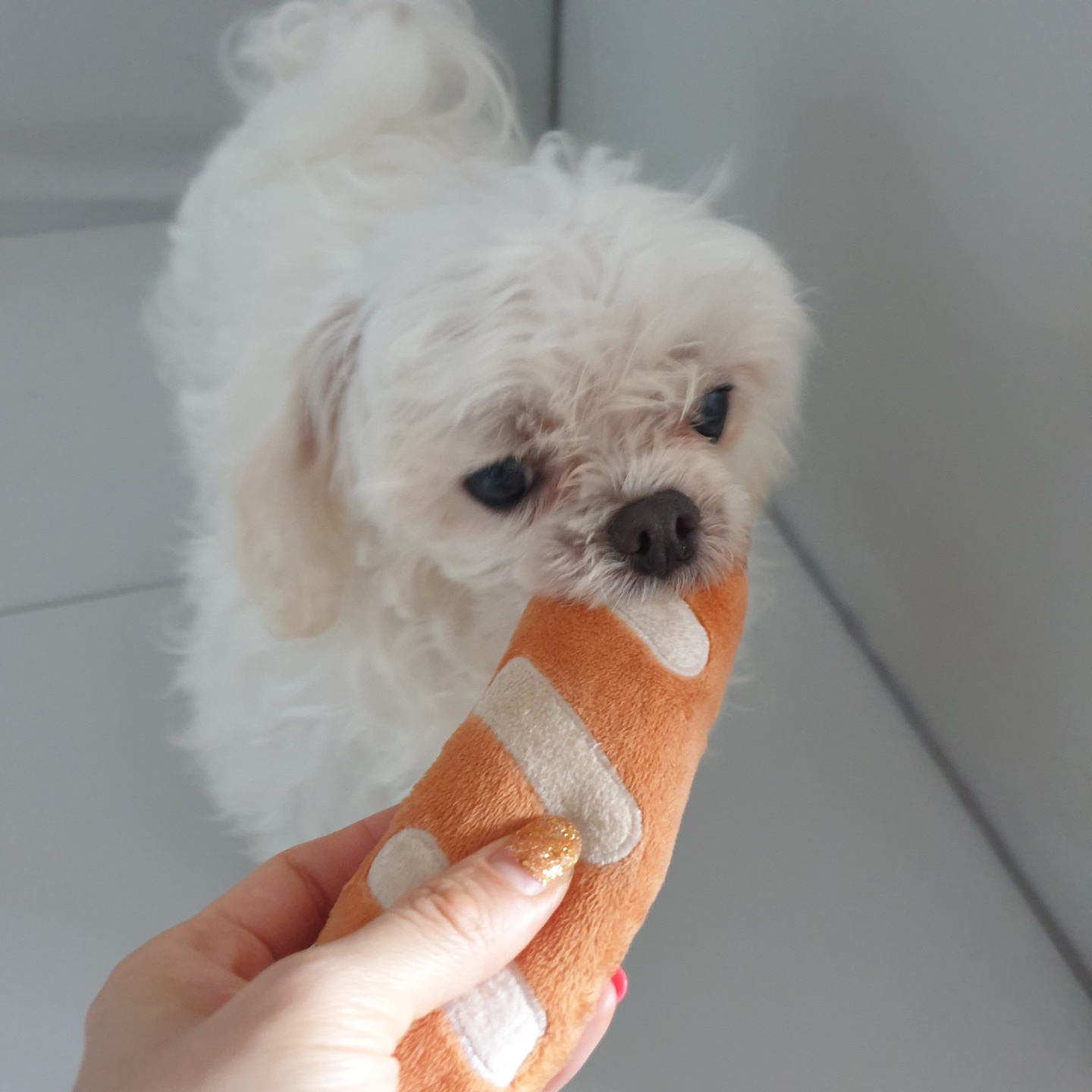 아름다운 꽃순이랑 멋진 금동이