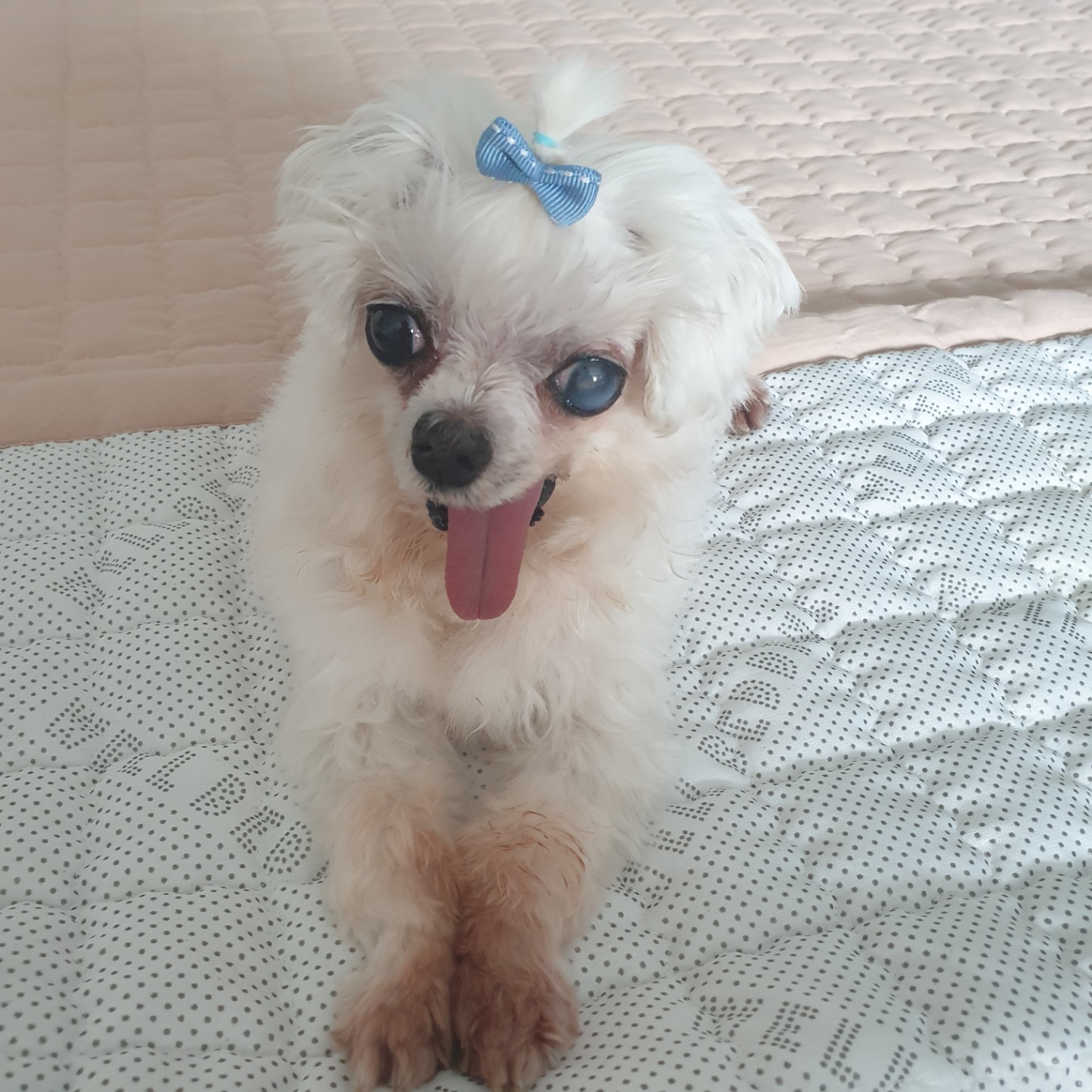 아름다운 꽃순이랑 멋진 금동이