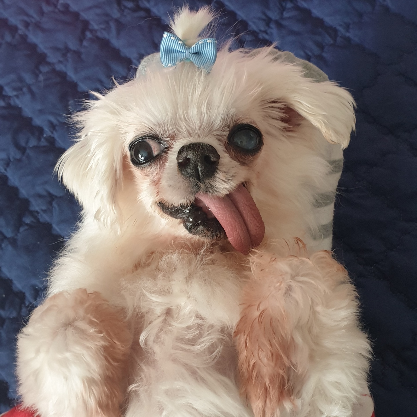 아름다운 꽃순이랑 멋진 금동이