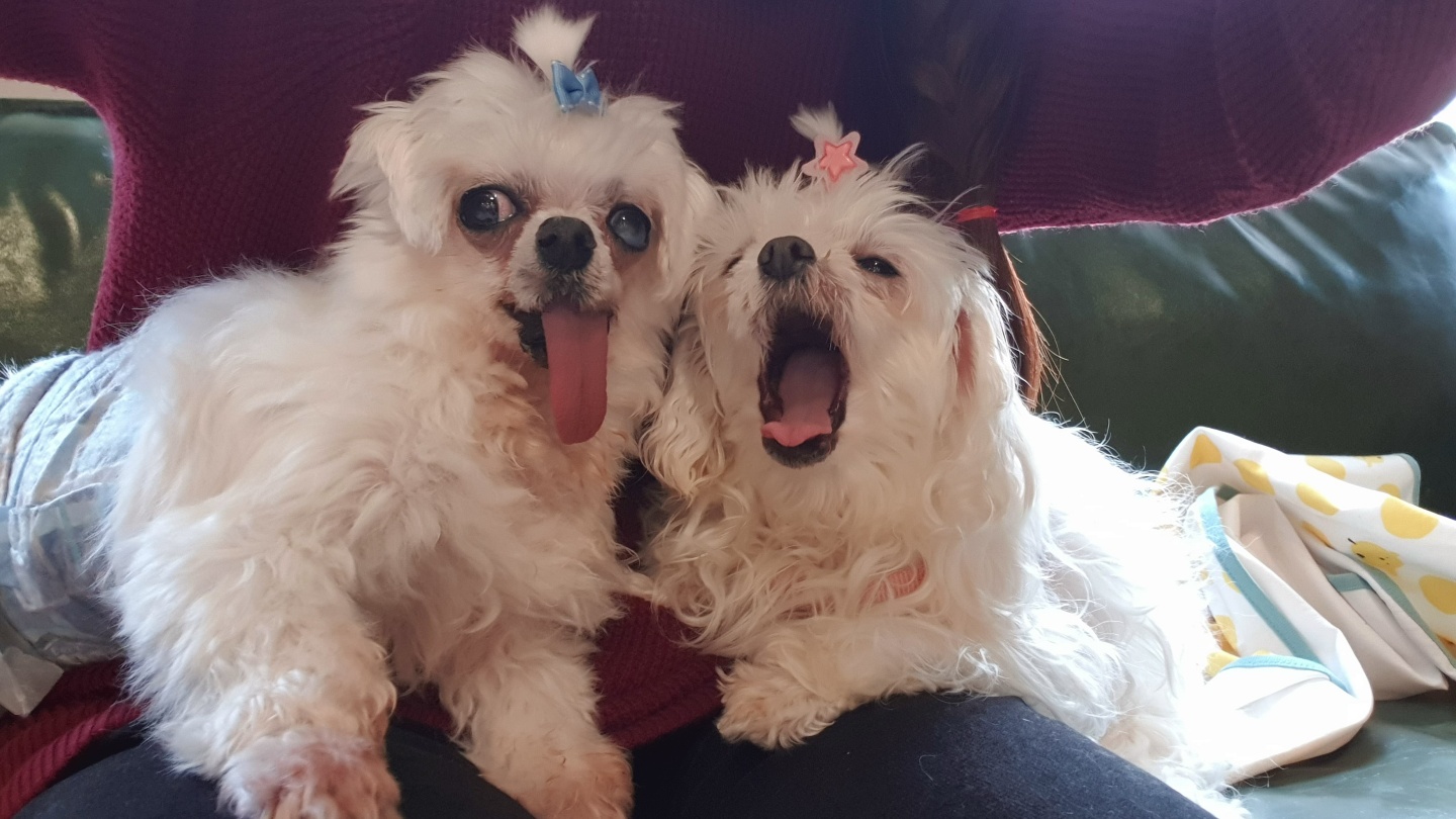 아름다운 꽃순이랑 멋진 금동이