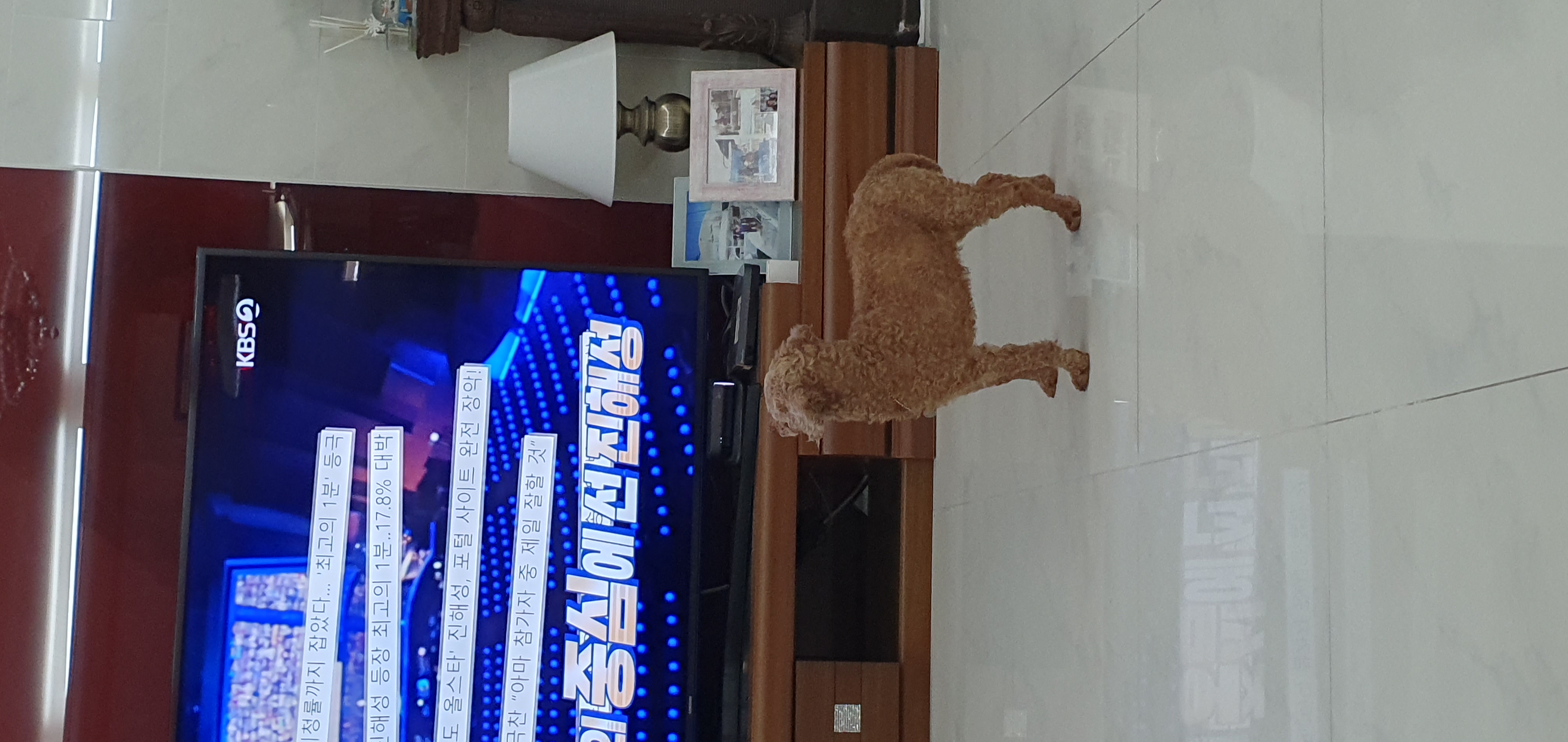 안녕하세요 곤지암 밤송이  소식전해드려요