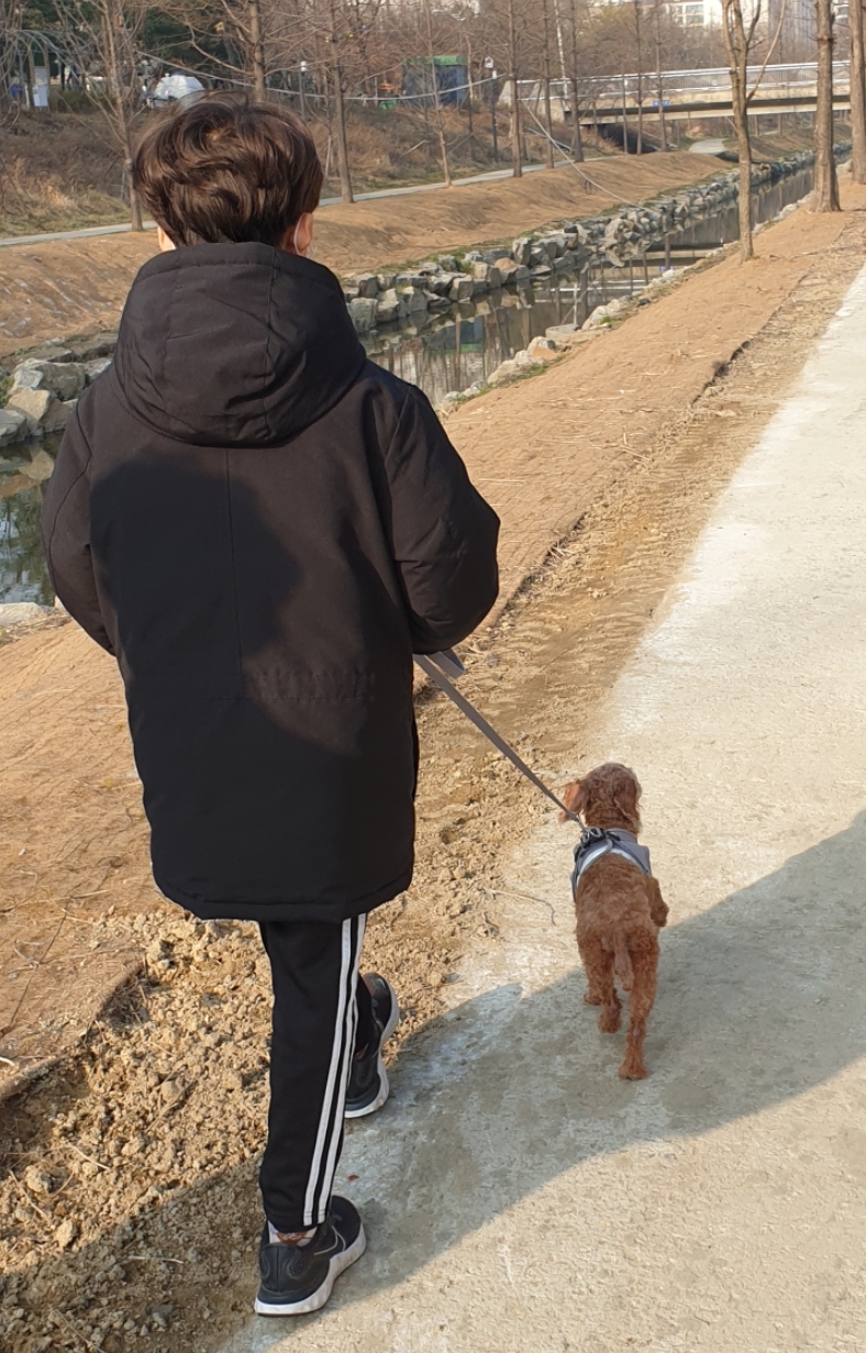 새로운 가족(곤지암 군밤이)