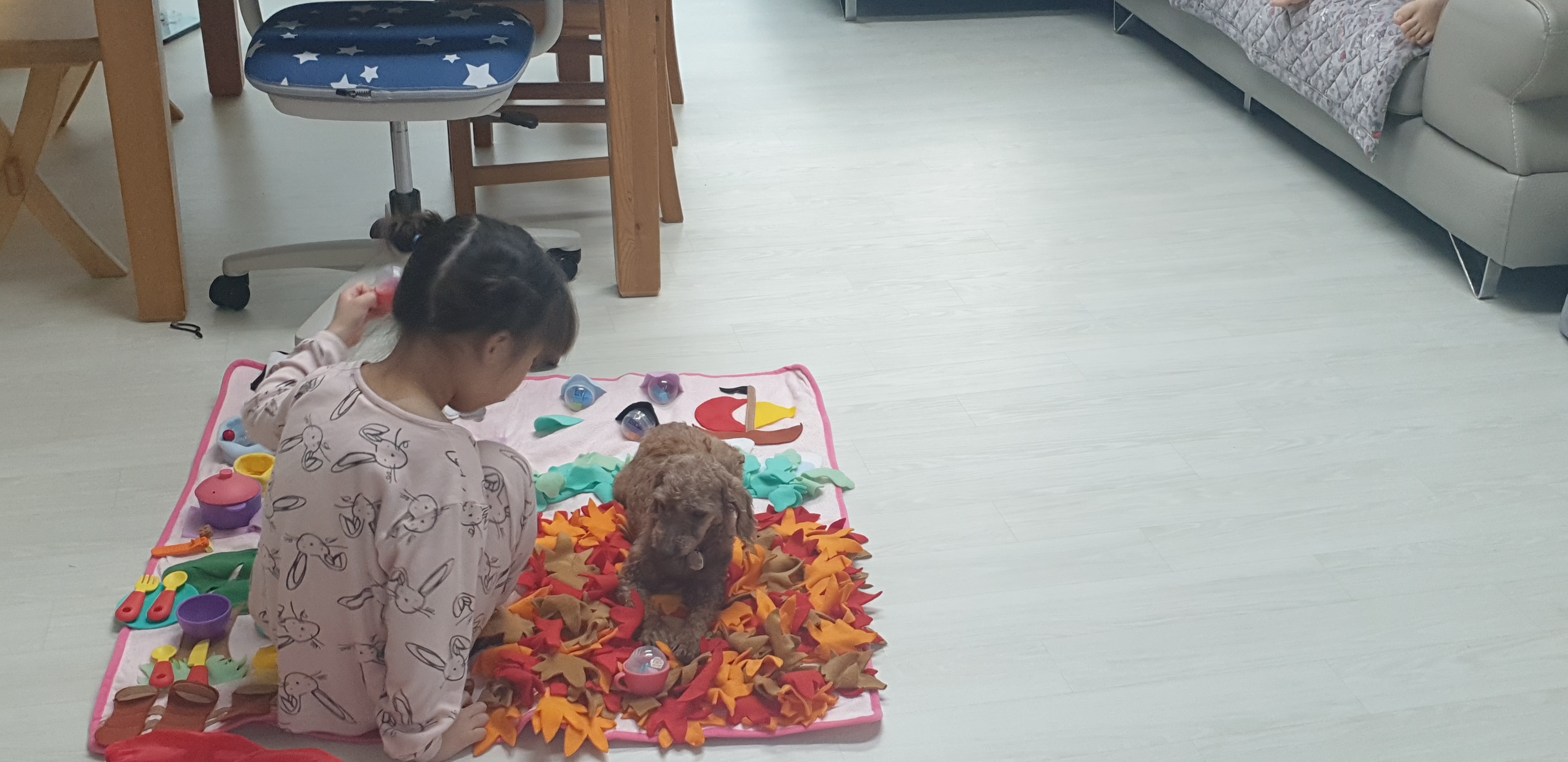 새로운 가족(곤지암 군밤이)