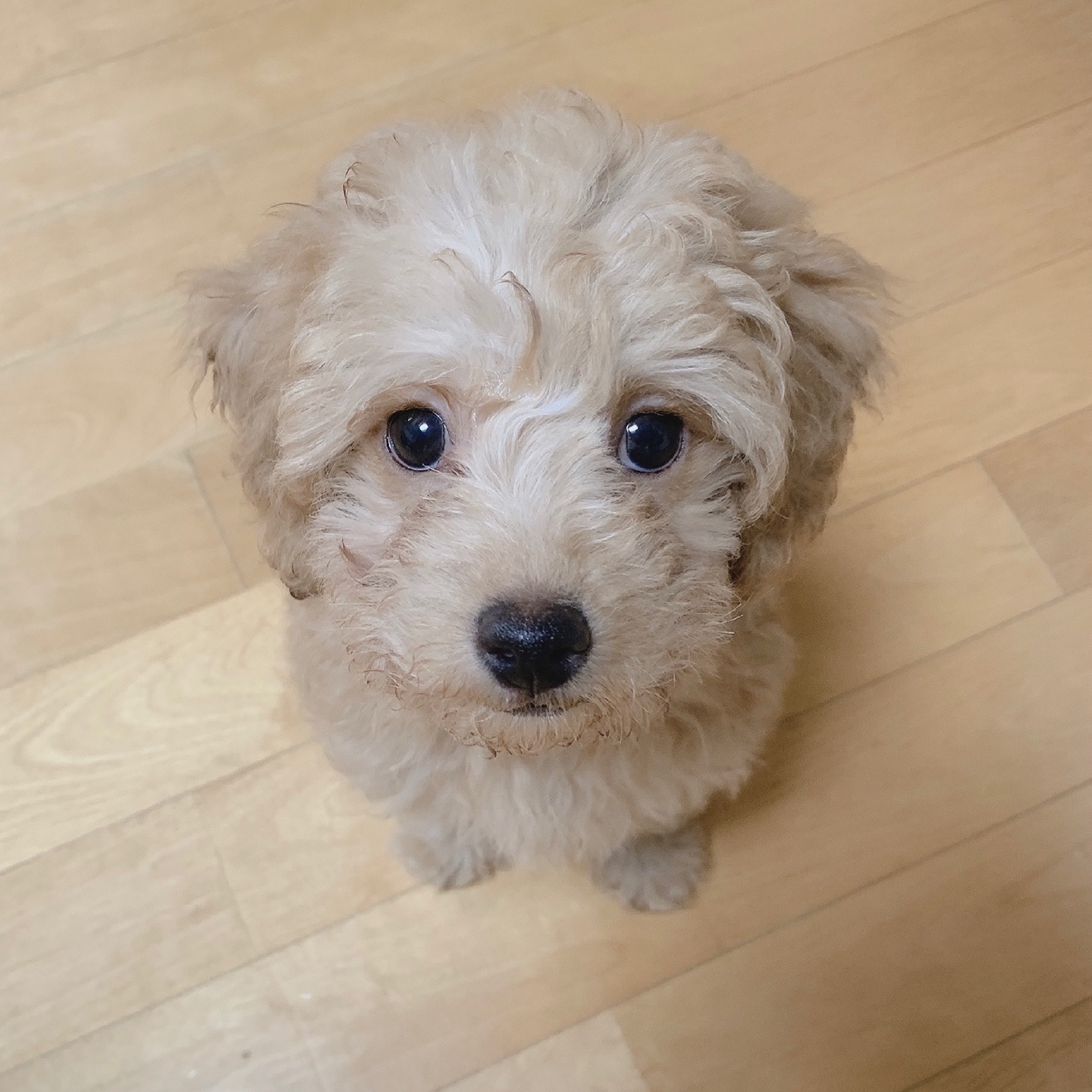 초이(해삼)이 1차 후기 입니다~!