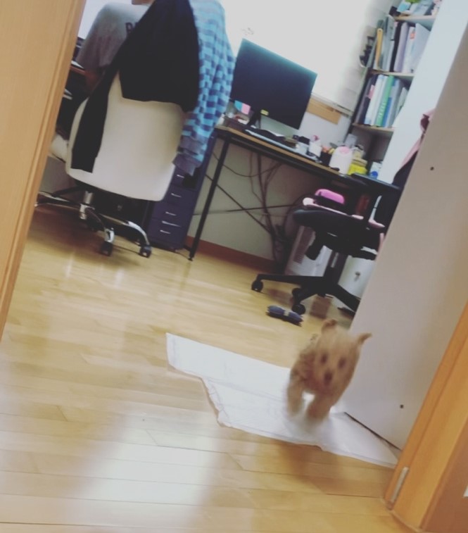 초이(해삼)이 1차 후기 입니다~!